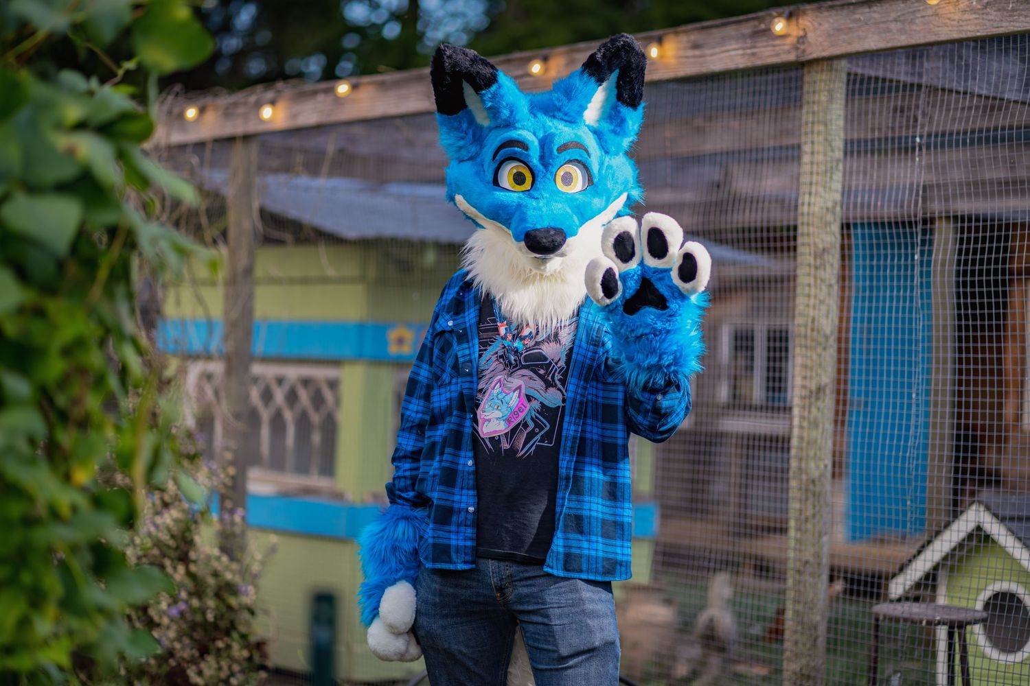 Blue fursuit character poses near garden structures with string lights in background.