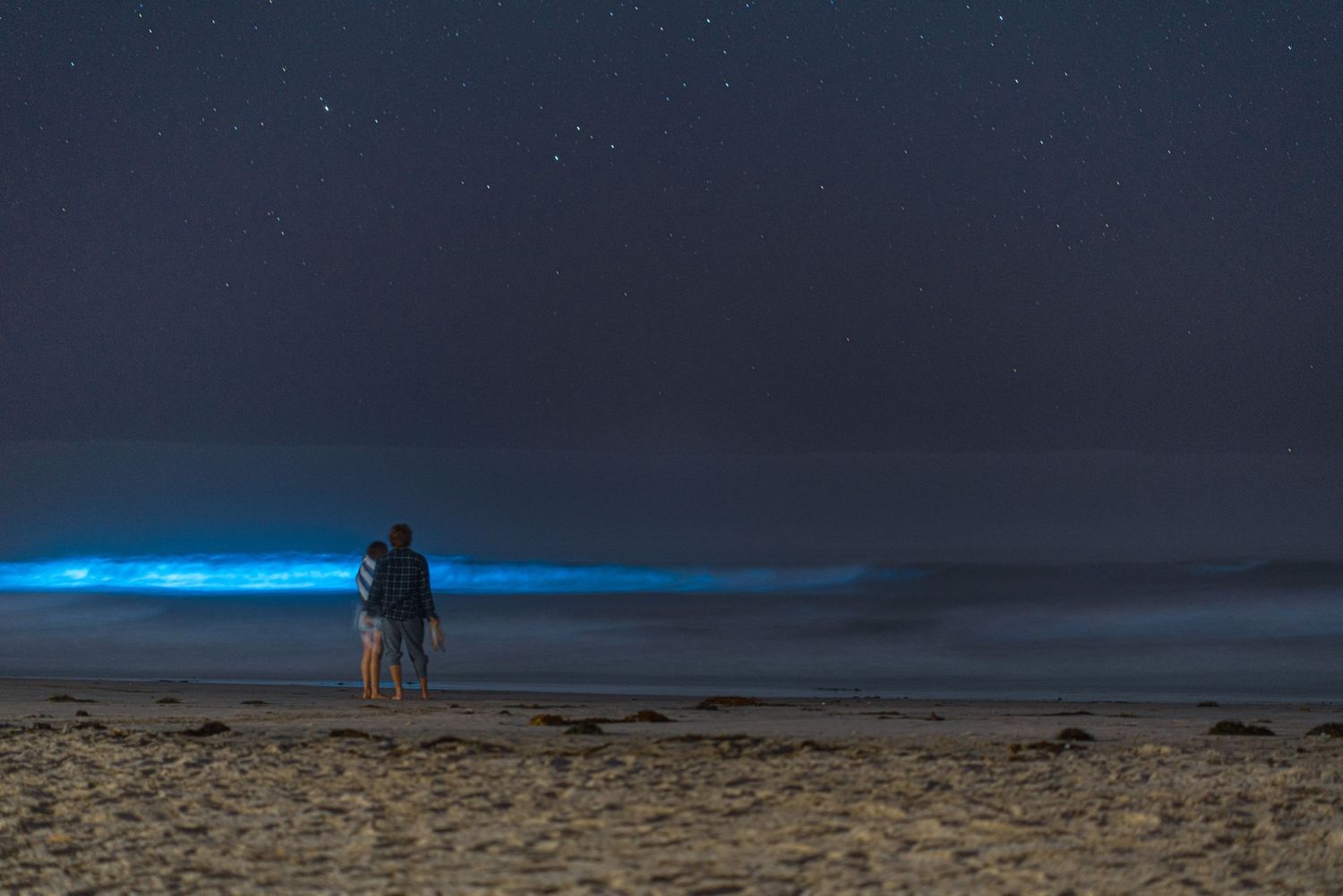 Silhouettes of people against a dramatic nighttime beach landscape.