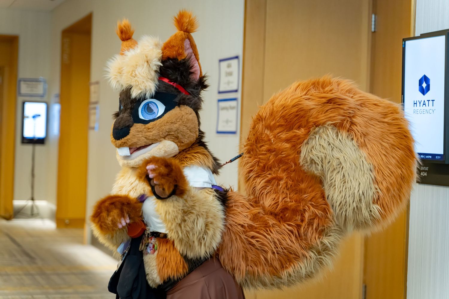 A large brown teddy bear sits in an office hallway against a beige wall.