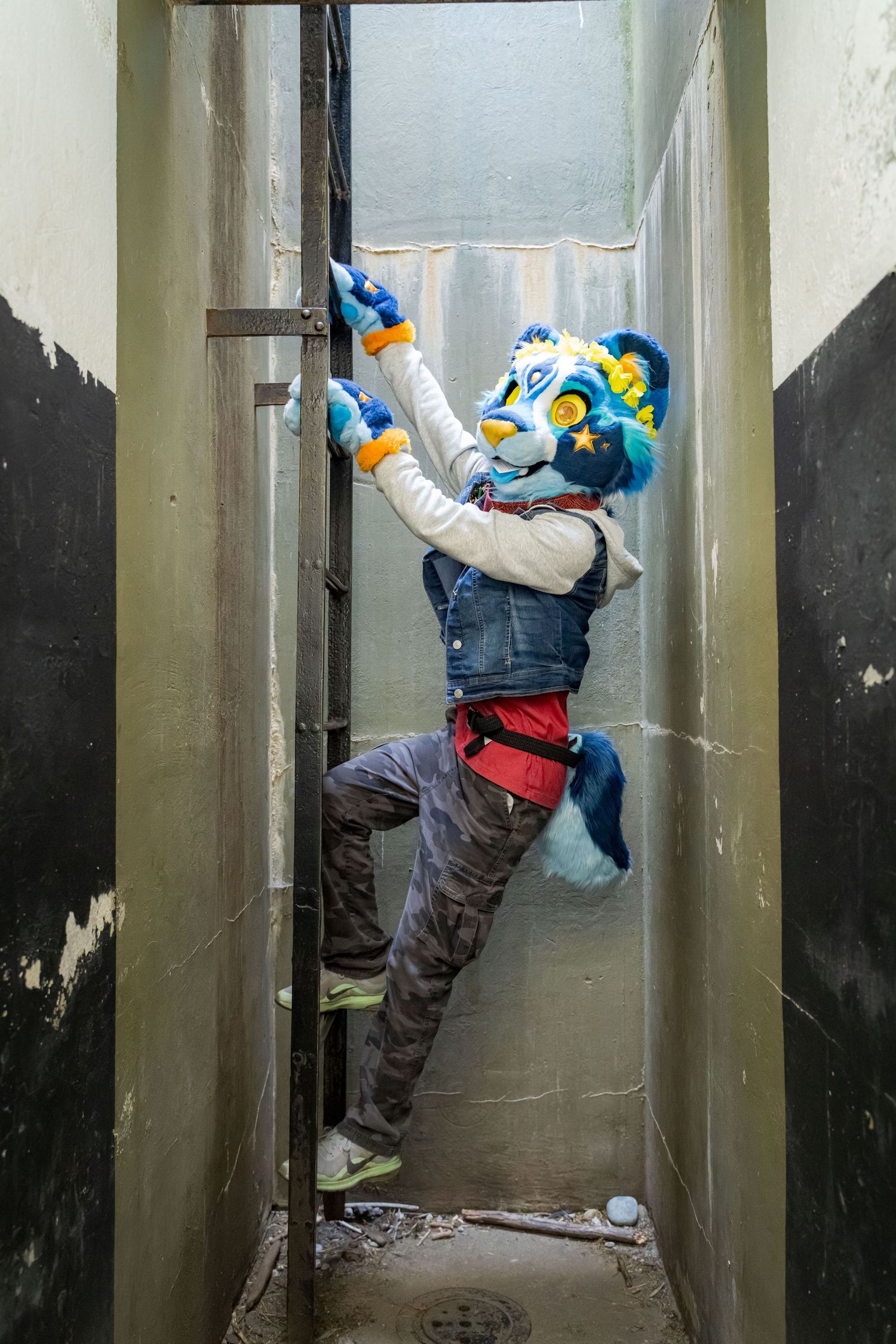 Fursuiter in blue and white costume climbing narrow concrete walls in sequential photos.