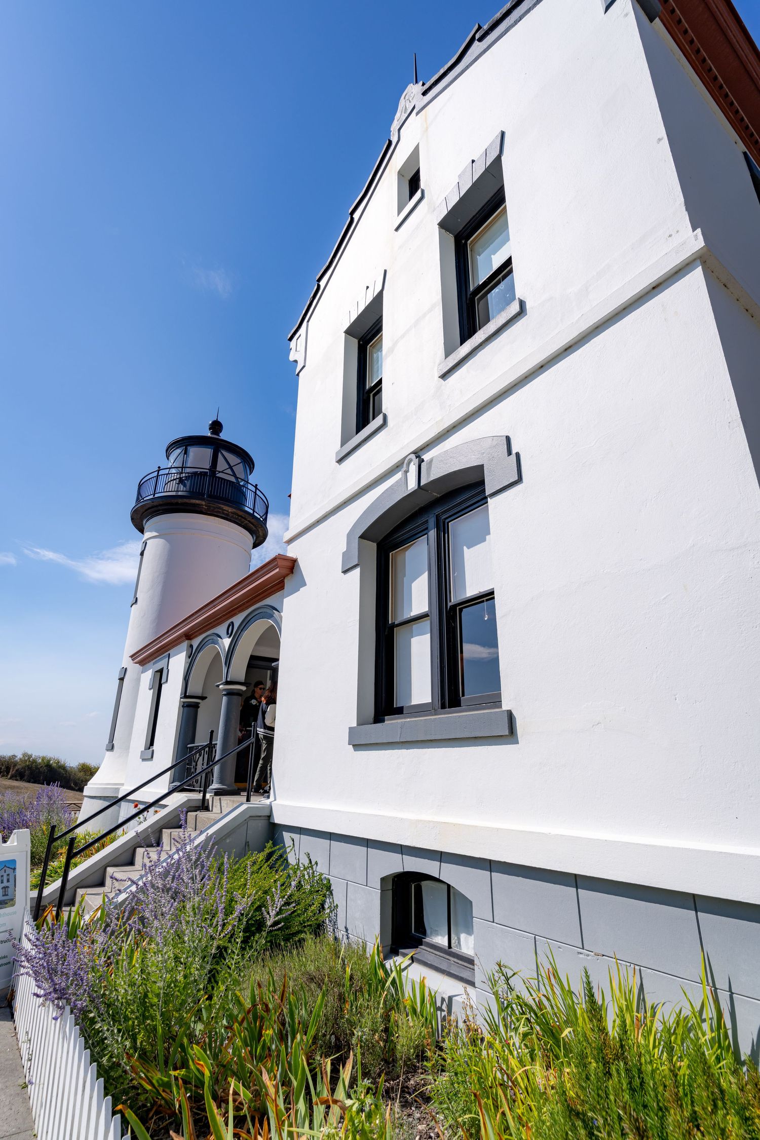 Side view of white lighthouse building with black trim windows and native plantings in foreground.
