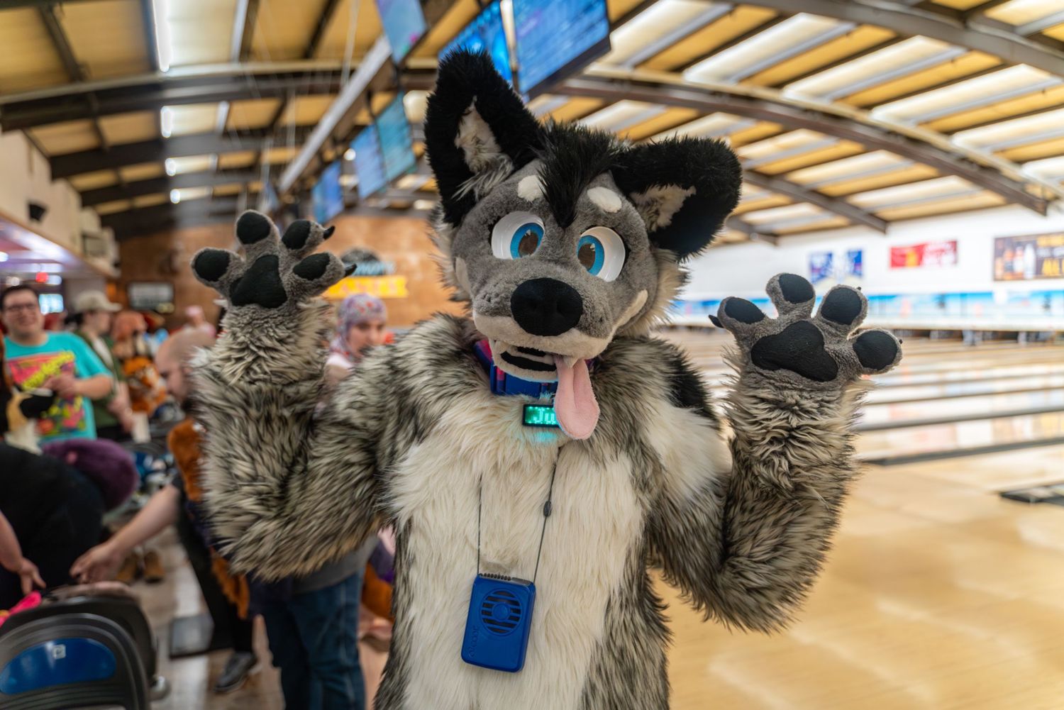 Grey and blue fursuit characters interacting in a bowling alley setting.