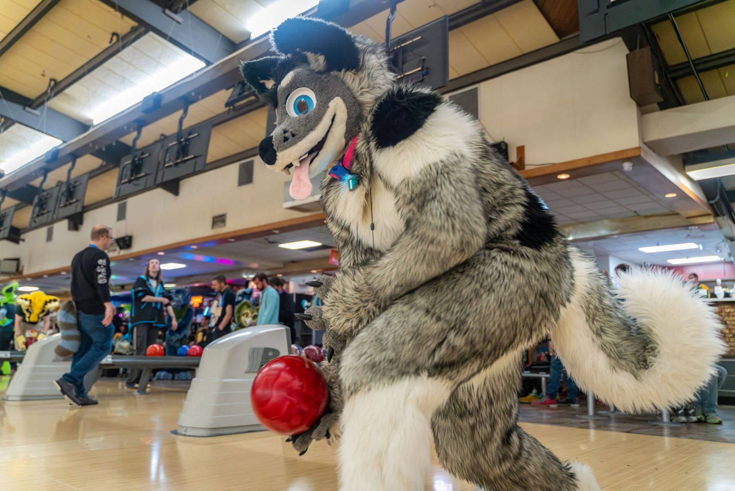 Wolf fursuit character posing playfully at a bowling alley.
