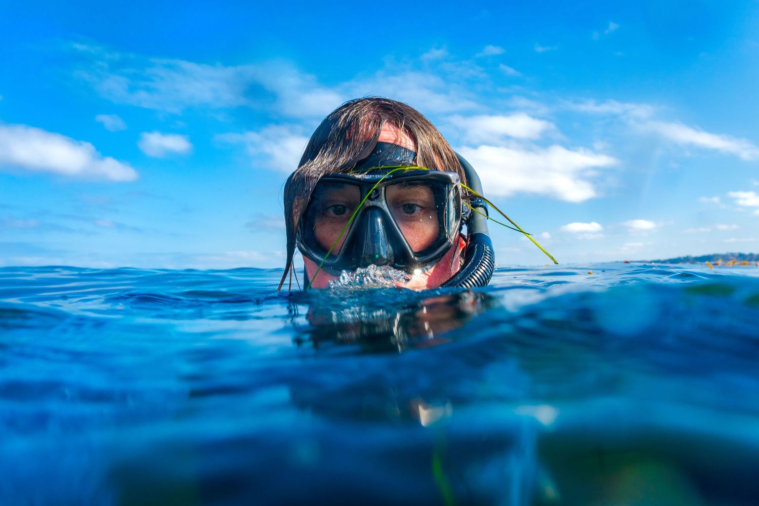 Split-level underwater photography showing snorkeler in blue ocean water.