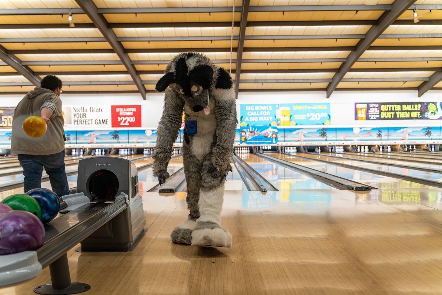 A grey fursuit character leans forward to release their bowling ball down the lane.