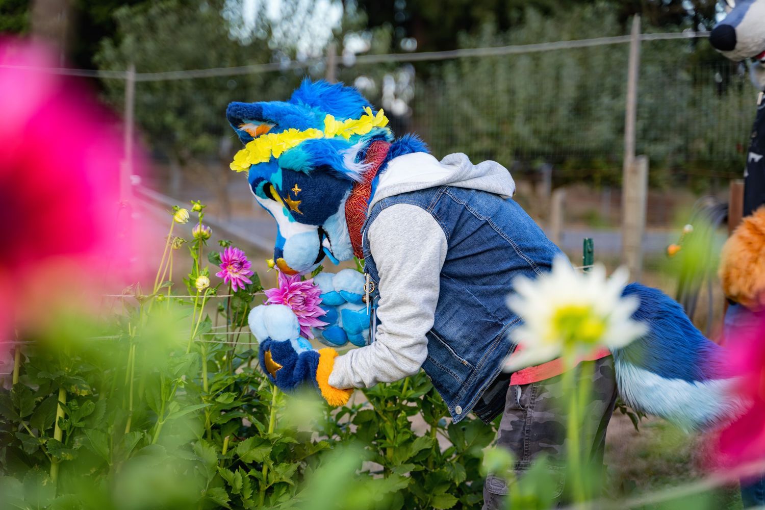 Colorful fursuit characters interact in a garden with pink flowers in the foreground.