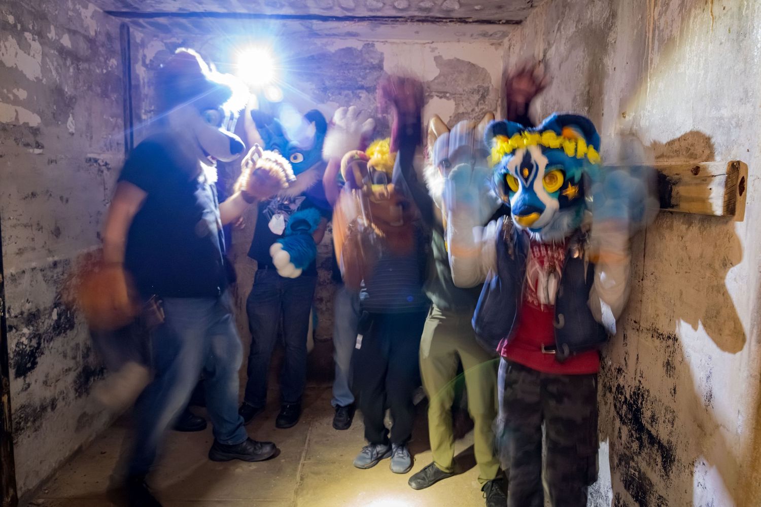 Group photo of fursuiters in dark corridor illuminated by camera flashes.