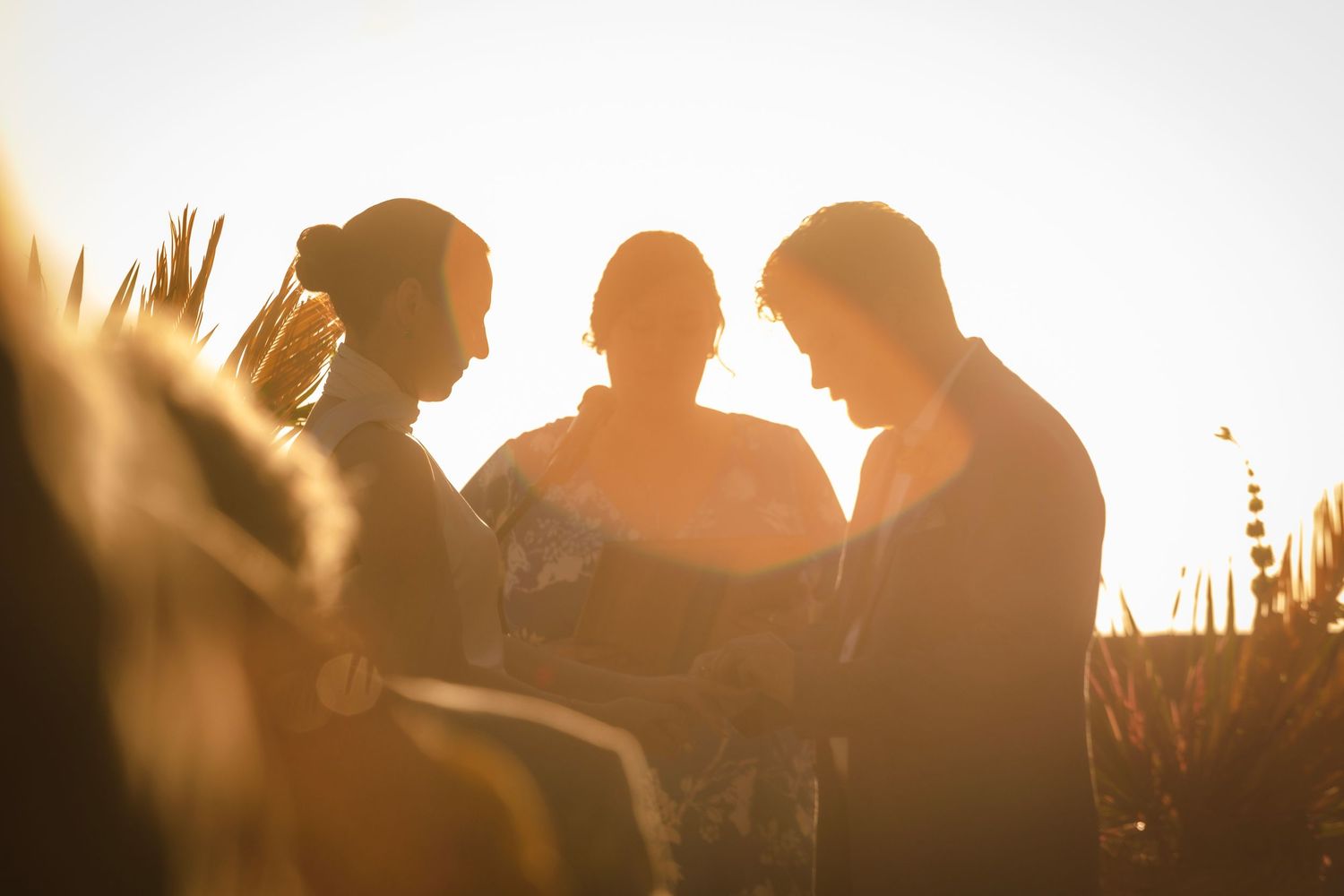 Silhouettes of wedding guests backlit by a golden sunset.