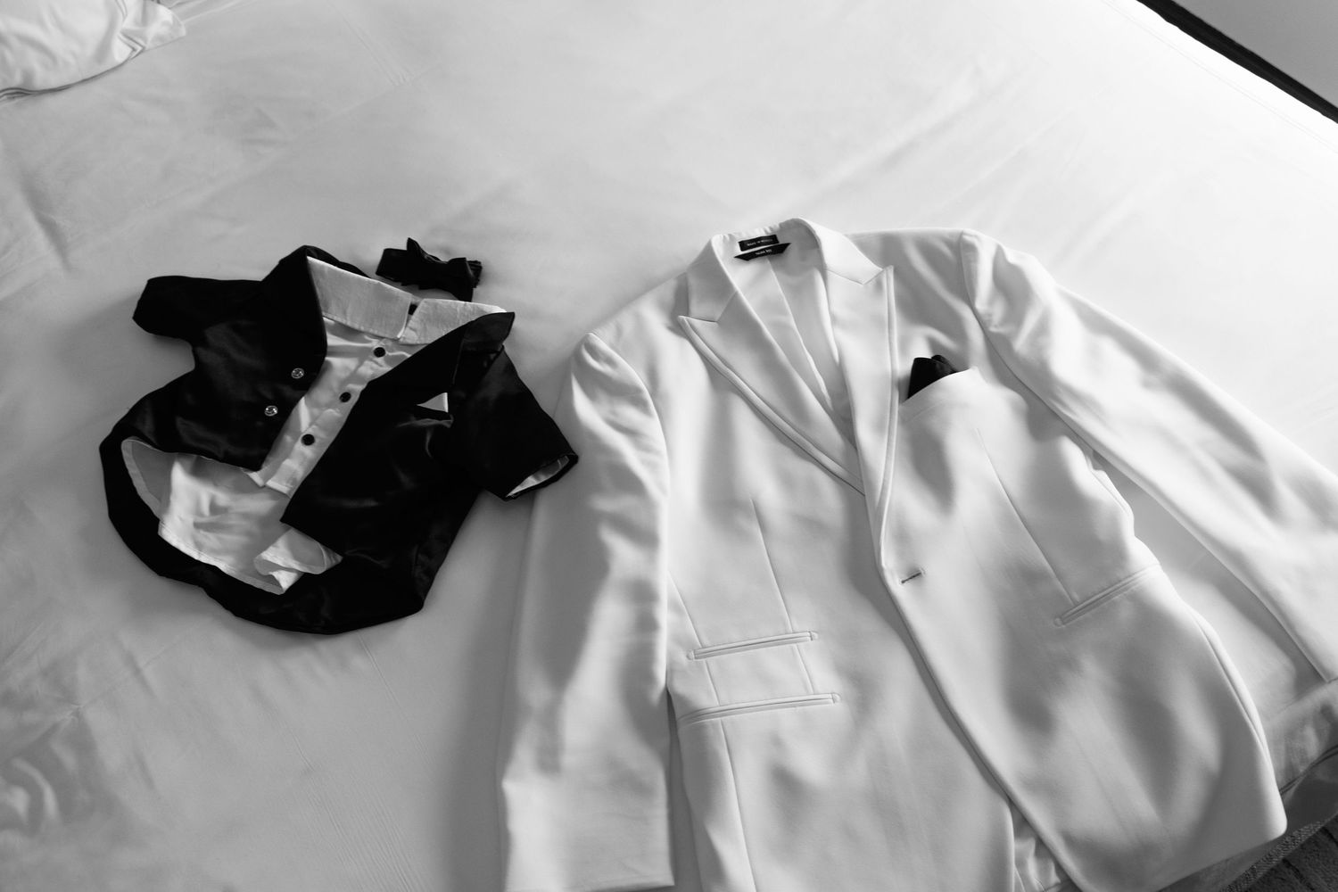 White button-up dress shirts neatly arranged in a row on a light background.