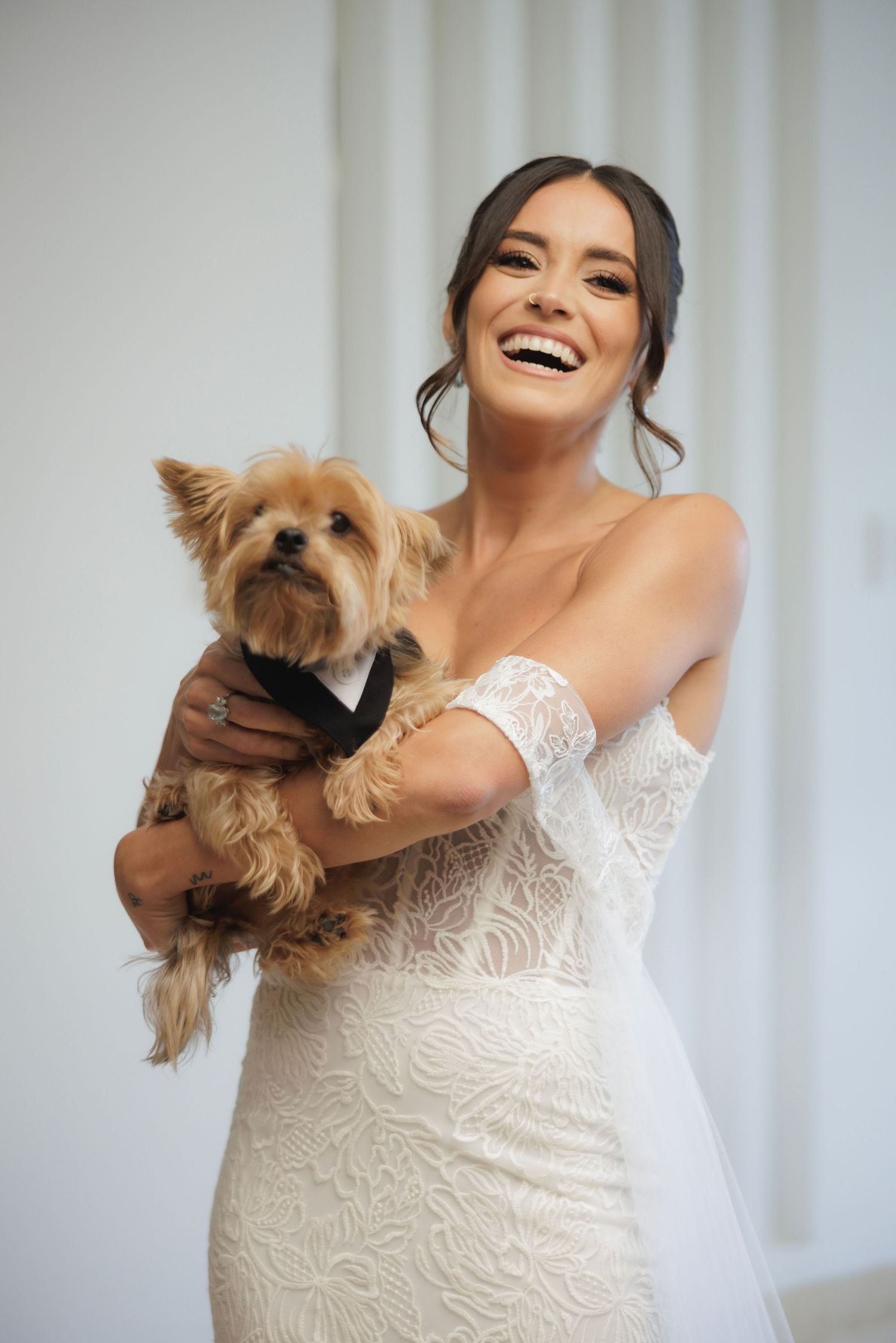Joyful moment with small Yorkshire terrier dog during wedding preparations.