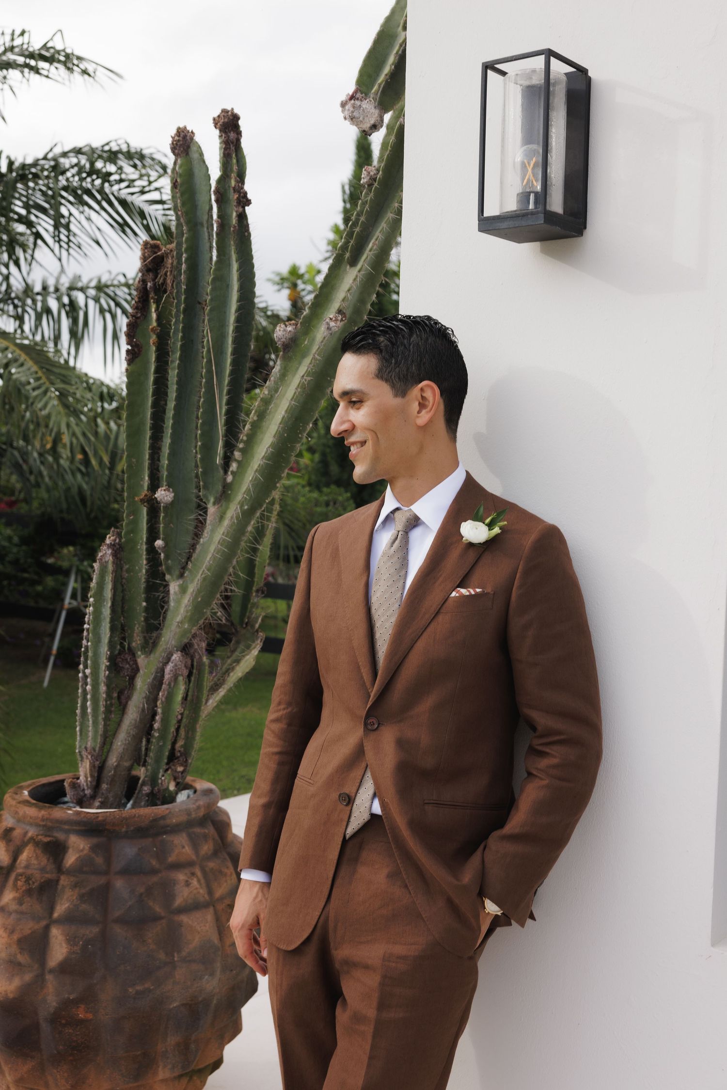 A brown suit-clad figure poses against a white wall next to a potted cactus.