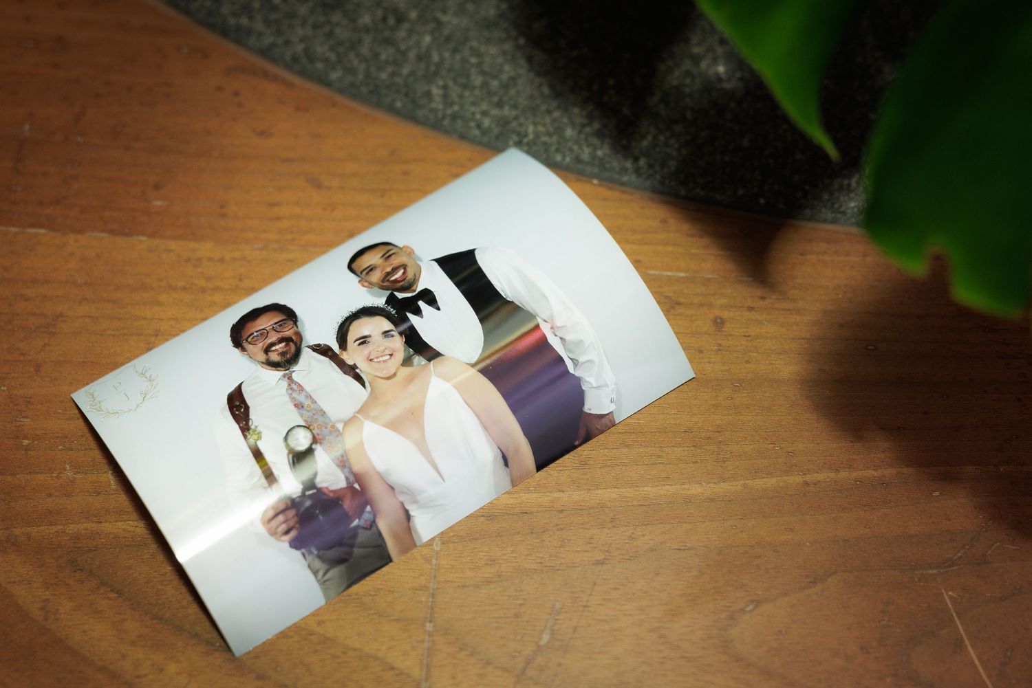 A torn photograph of seated figures lies on a wooden surface near greenery.