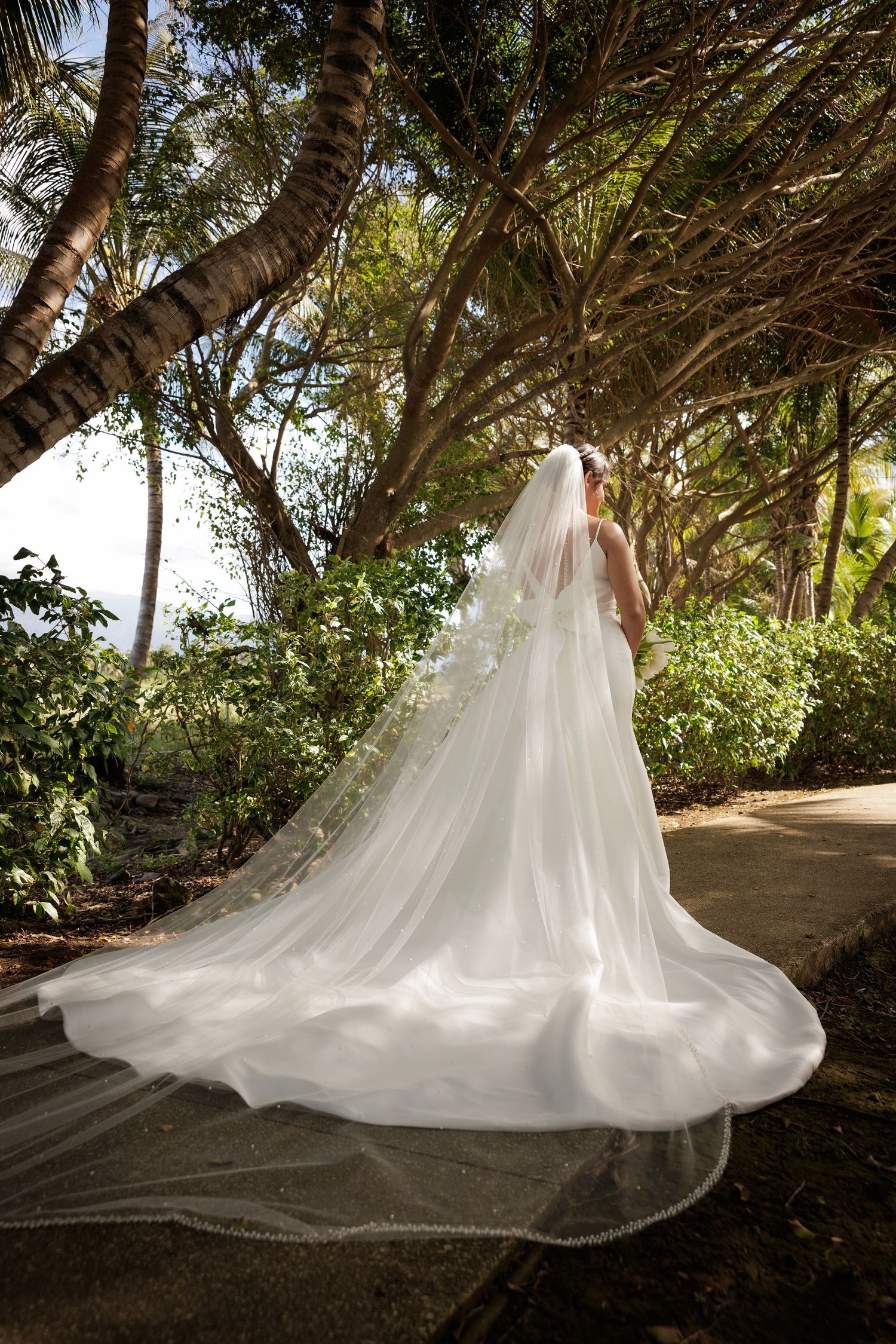 A flowing white wedding dress with a long cathedral train cascades beautifully across a garden path beneath tropical trees.