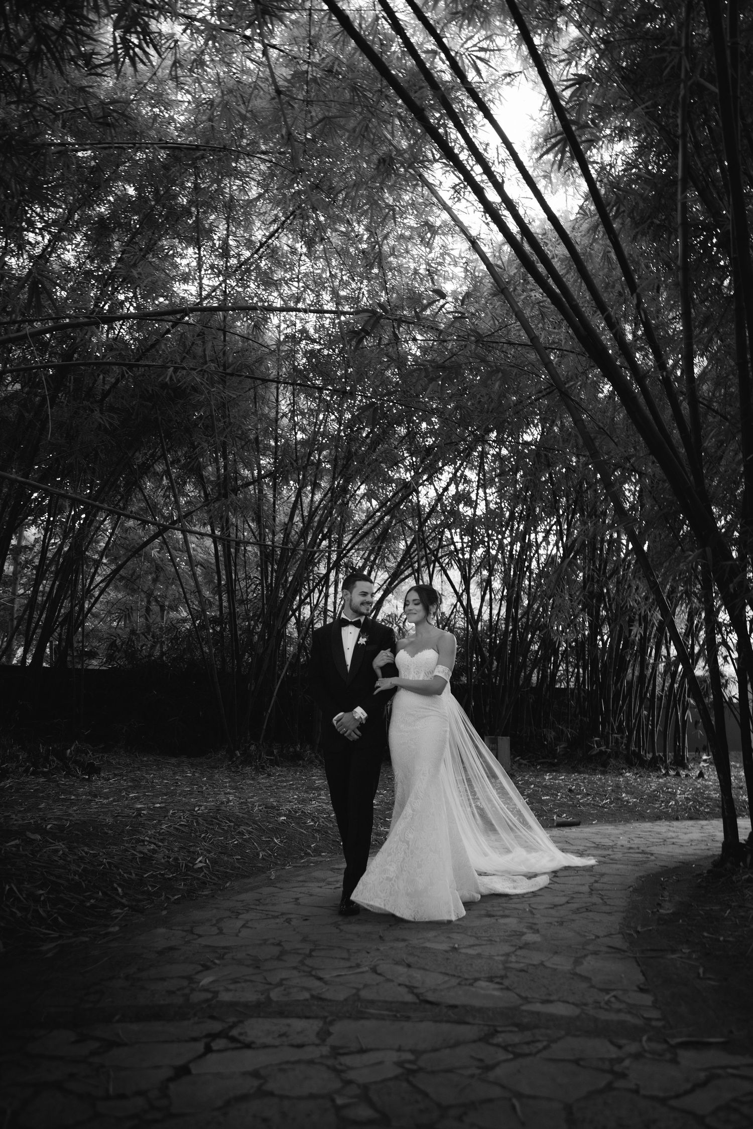 A dramatic black and white wedding photo with a couple silhouetted against a bamboo forest backdrop.
