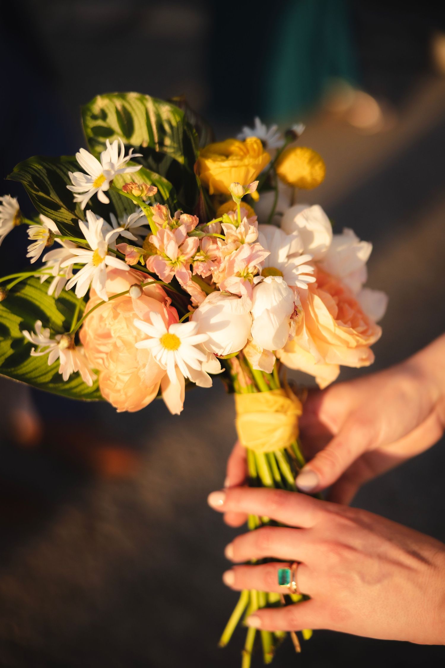 A hand holds a delicate bouquet of white daisies and peach-colored flowers in warm evening sunlight.