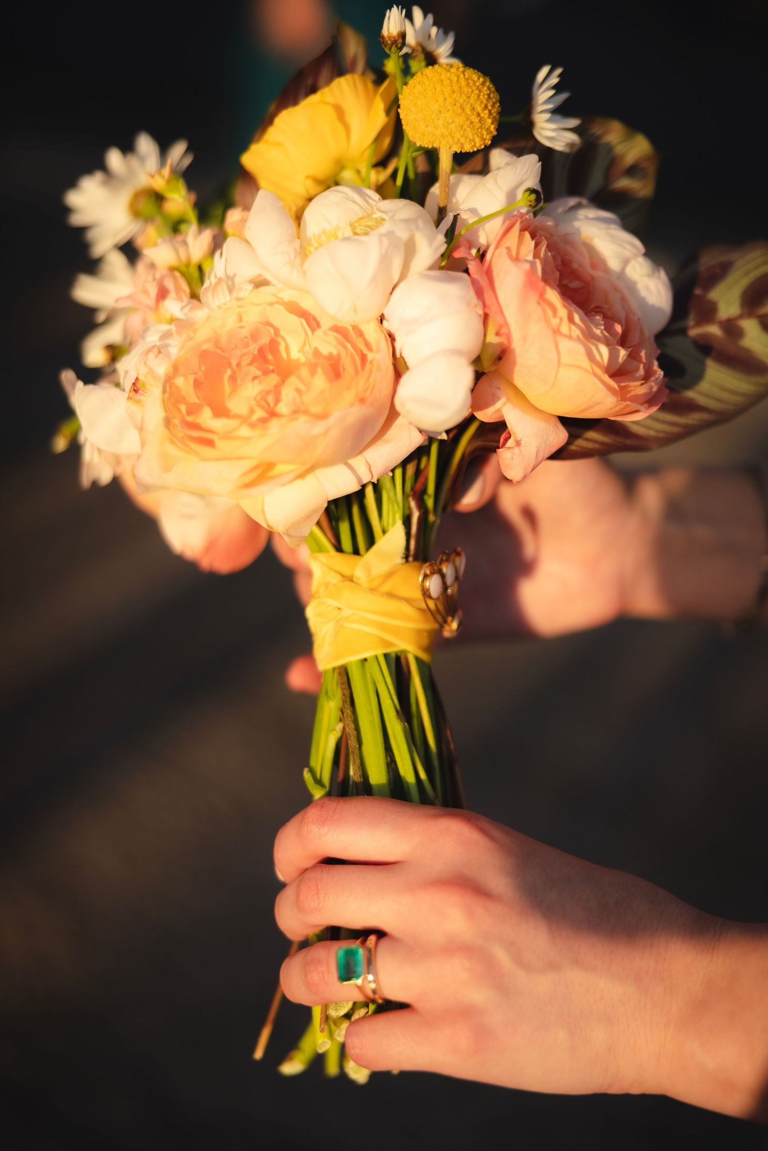 A delicate bouquet of peach and yellow roses illuminated in golden evening light.