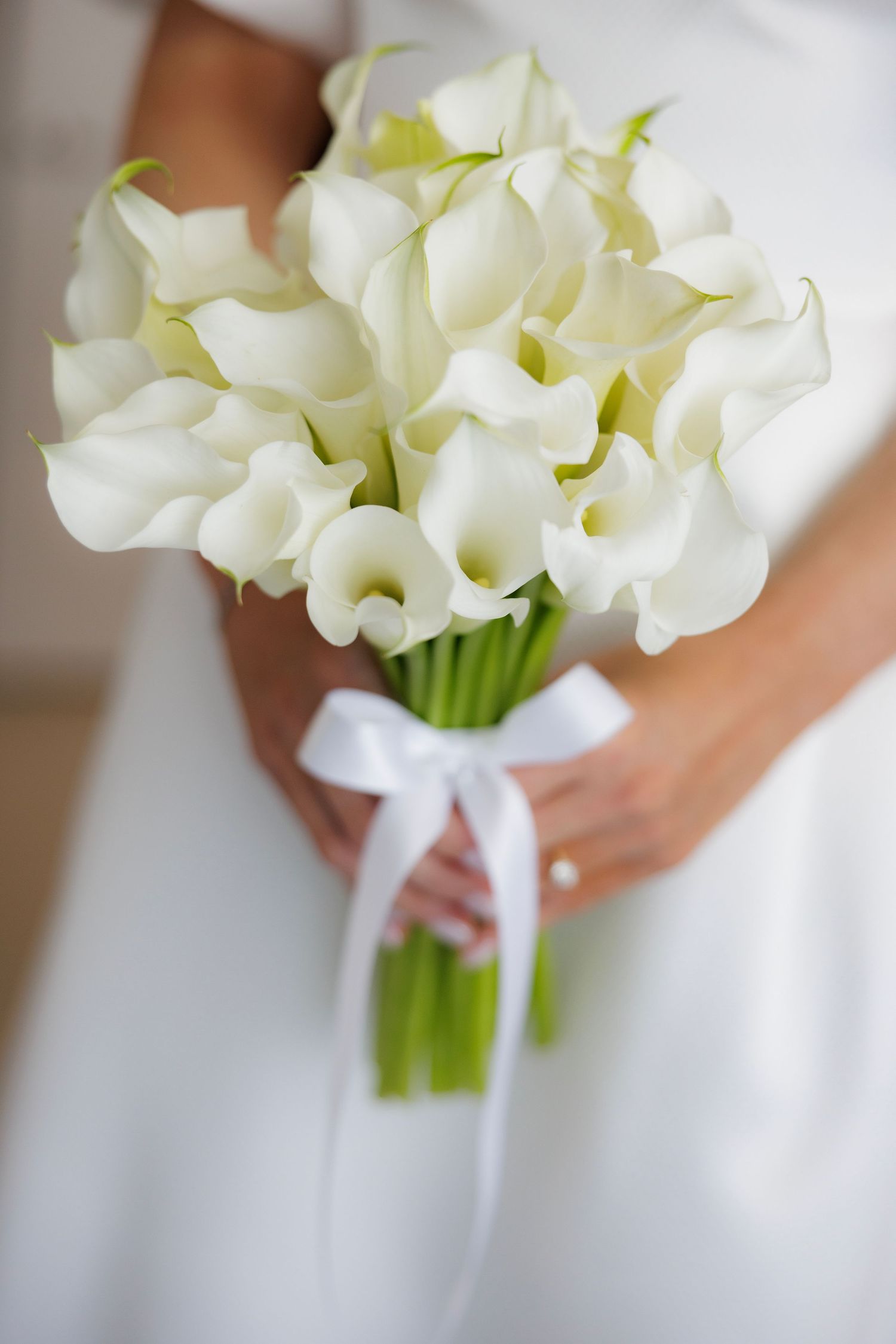 An elegant white calla lily bridal bouquet wrapped with a white satin ribbon.