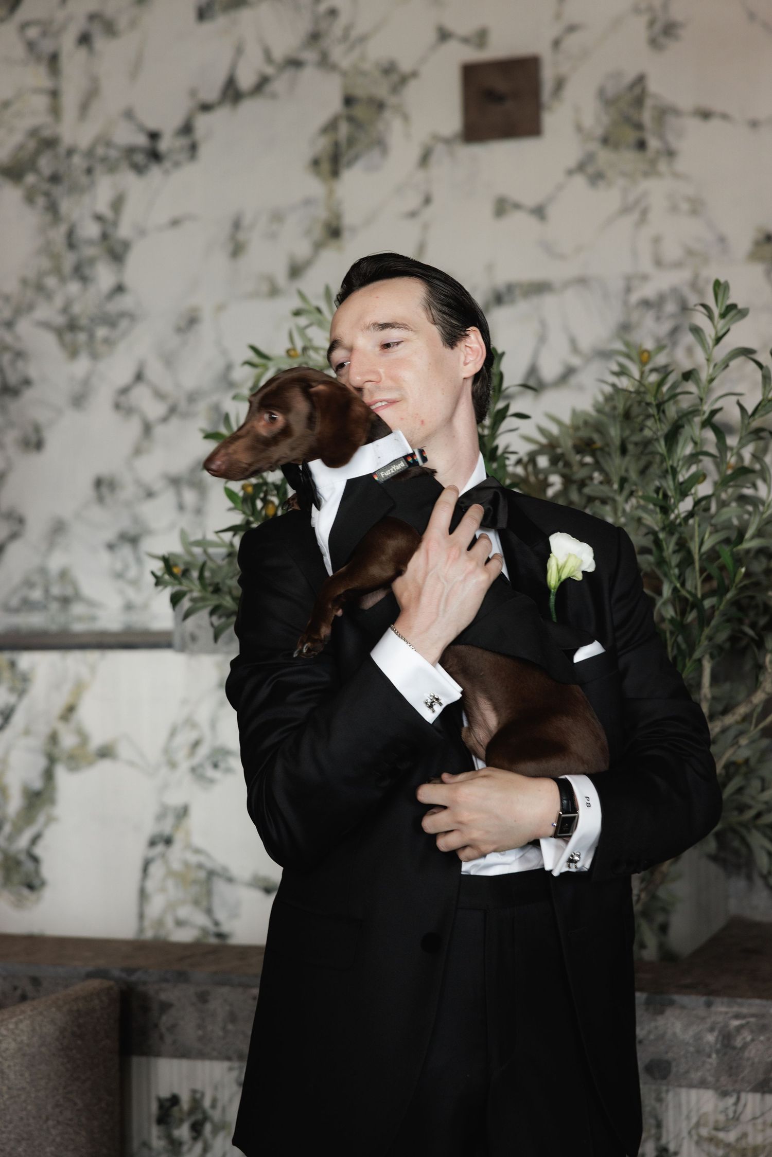 A brown dog gives kisses in a sequence of affectionate moments with someone wearing formal black attire against a textured wall.