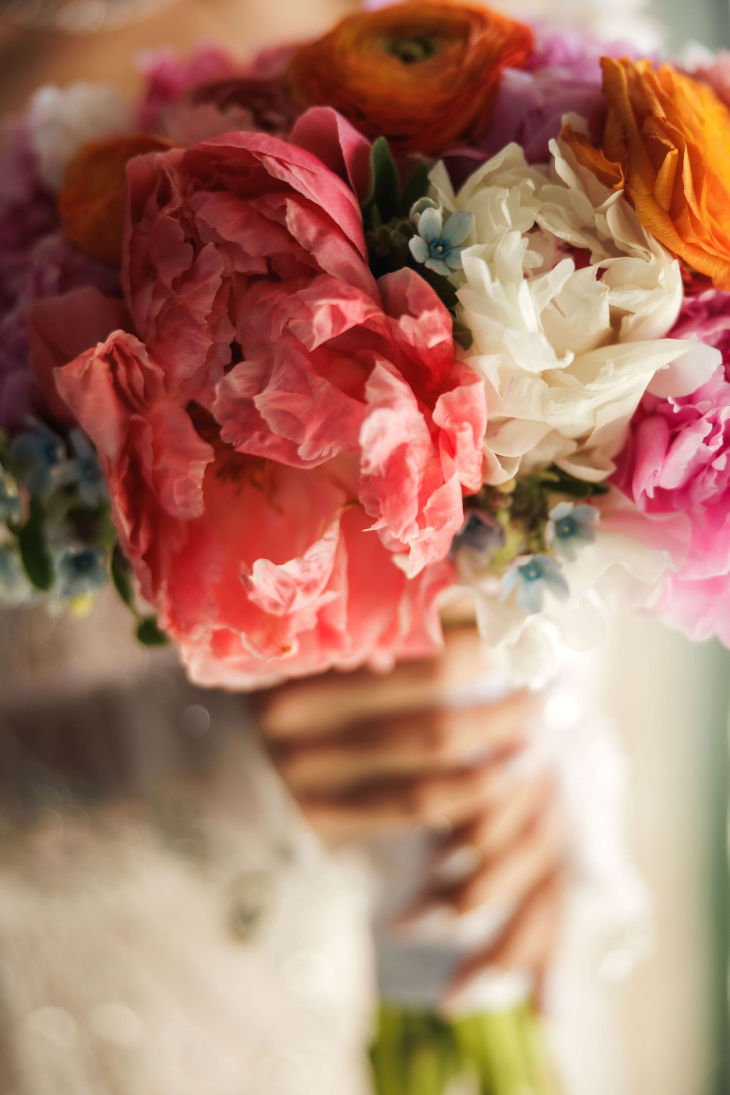 Close-up of vibrant coral and white peonies in a romantic floral arrangement with soft bokeh background.