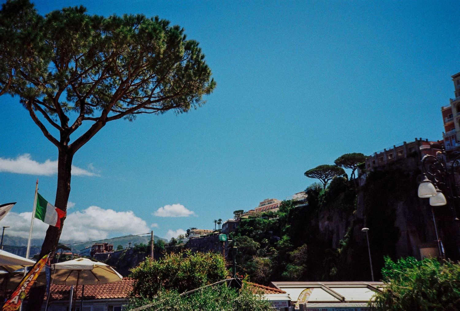 Tall Italian stone pine tree against vivid blue sky with lush hillside vegetation and colorful buildings below.