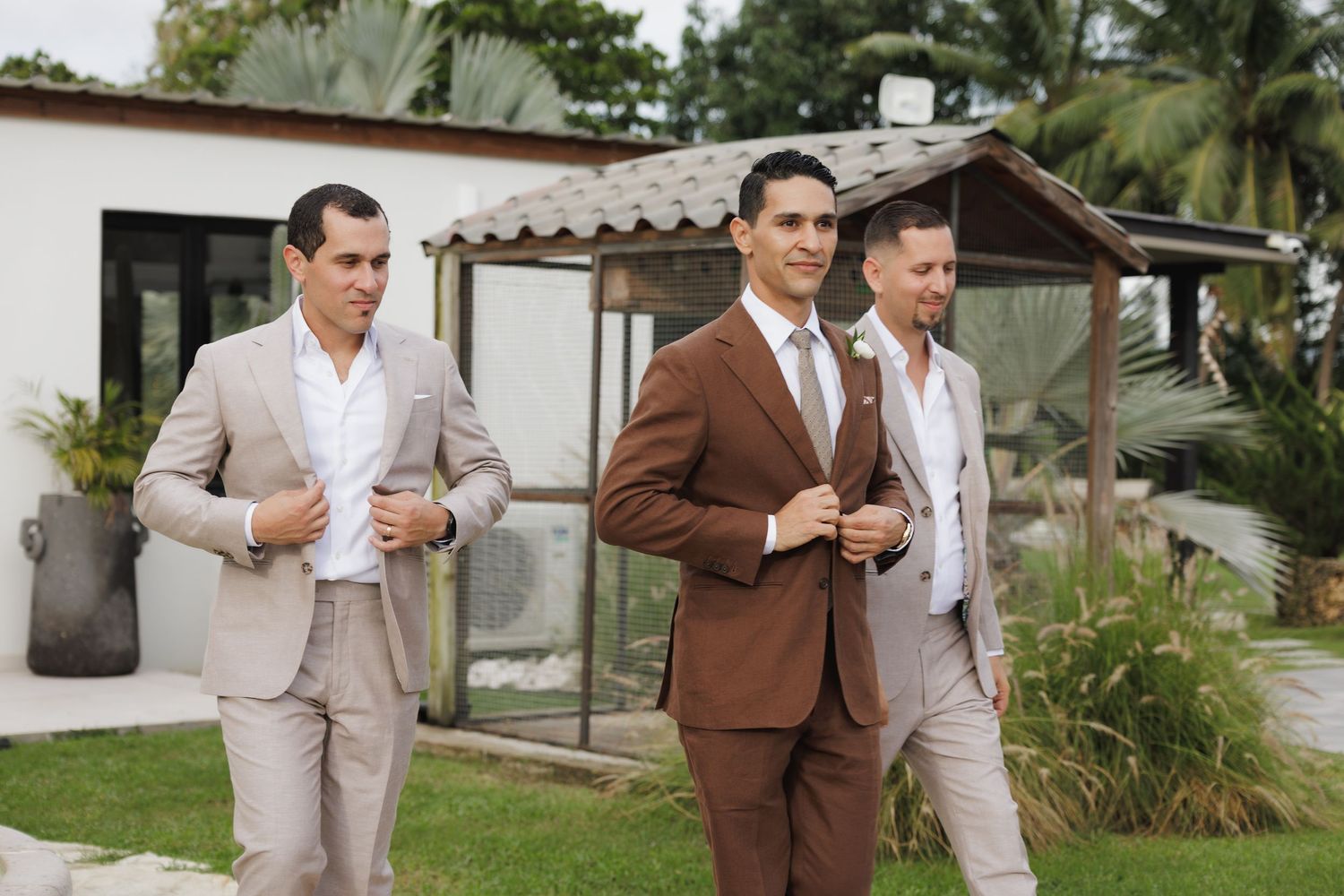 Three groomsmen in stylish suits walk together at an outdoor venue with tropical landscaping in the background.