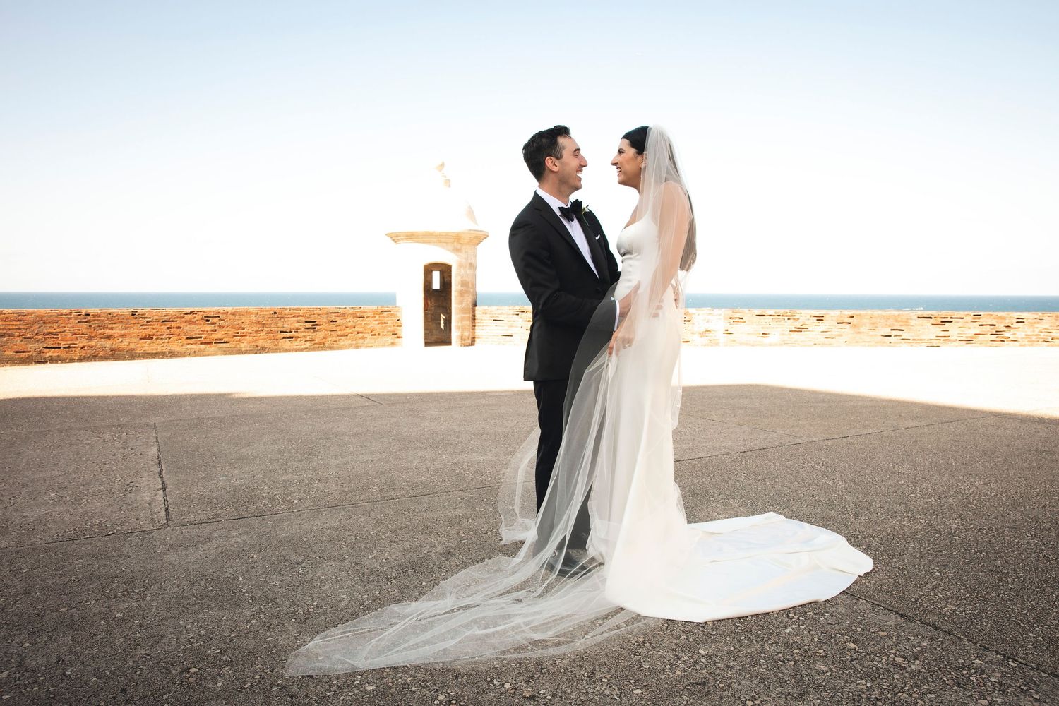Wedding photography sequence showing couple posing against desert landscape with dramatic veil movement.