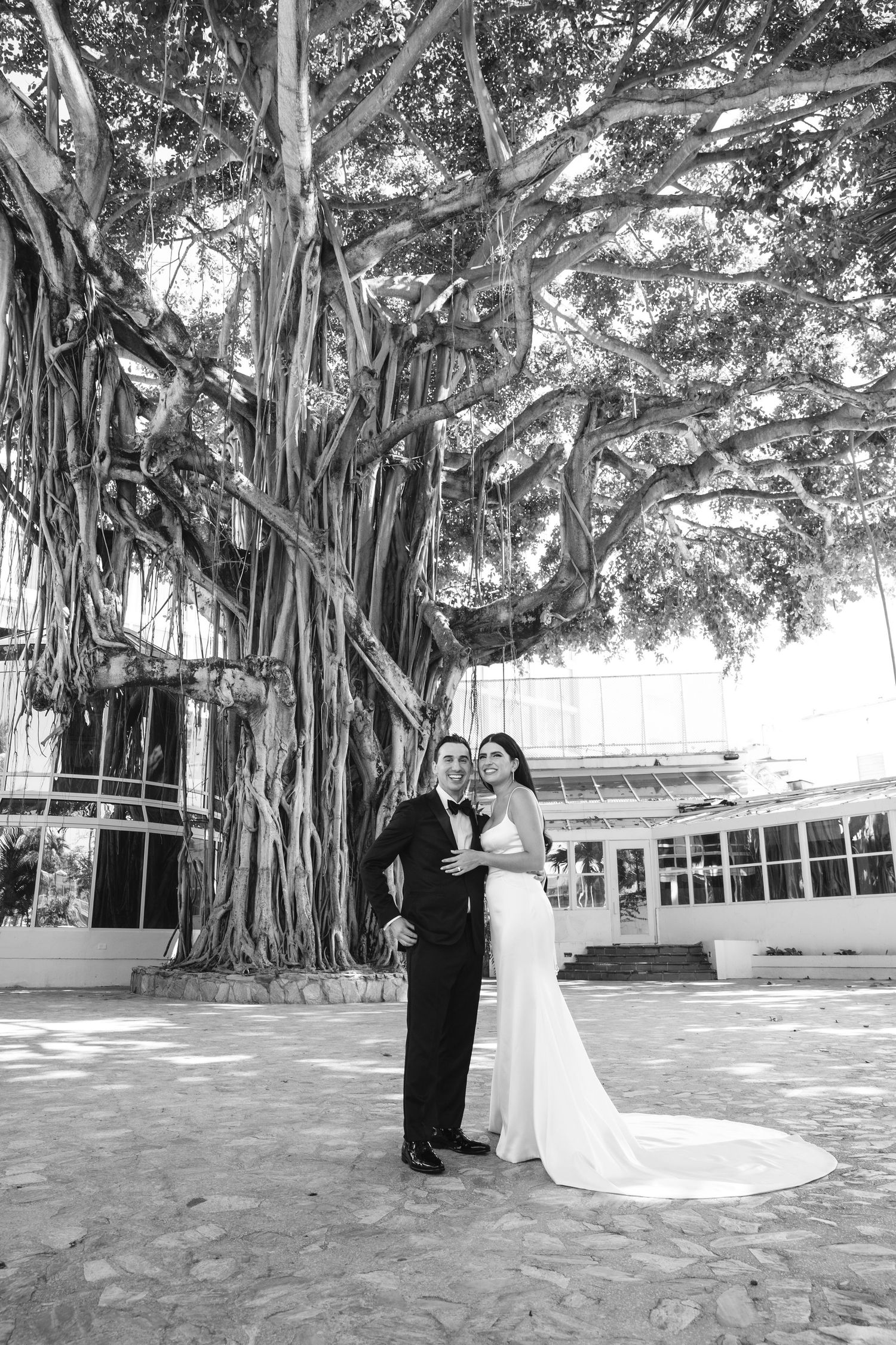 A romantic wedding photo series under a majestic banyan tree with dramatic lighting and shadows.