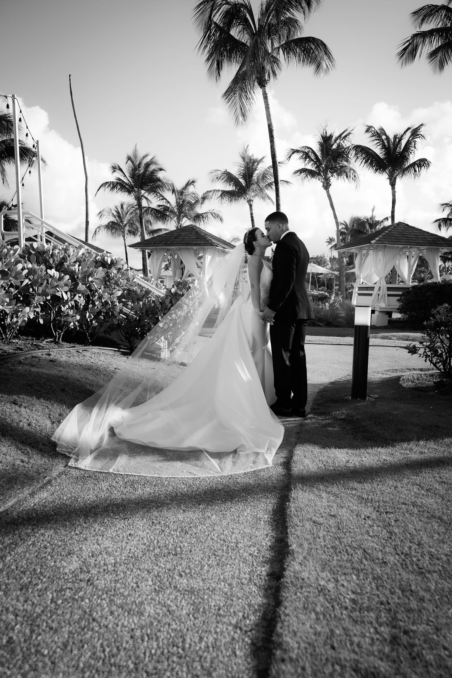 A series of black and white photos showing a couple dancing in a romantic sequence under palm trees.