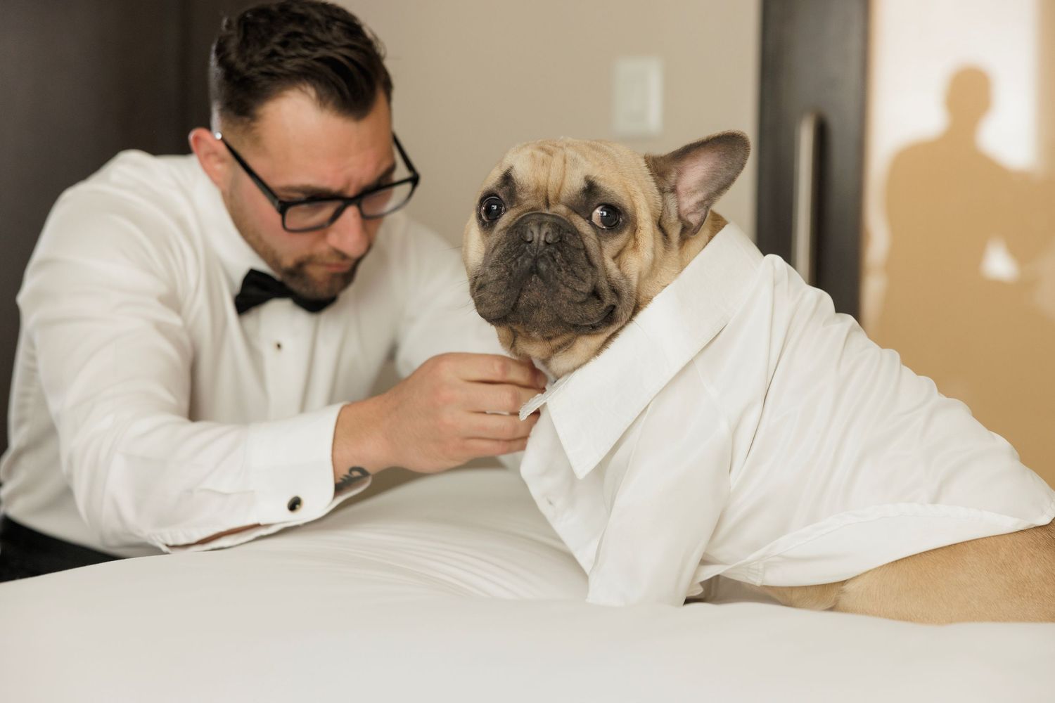 Sequence of tender moments between a French Bulldog and wedding party members in formal attire.