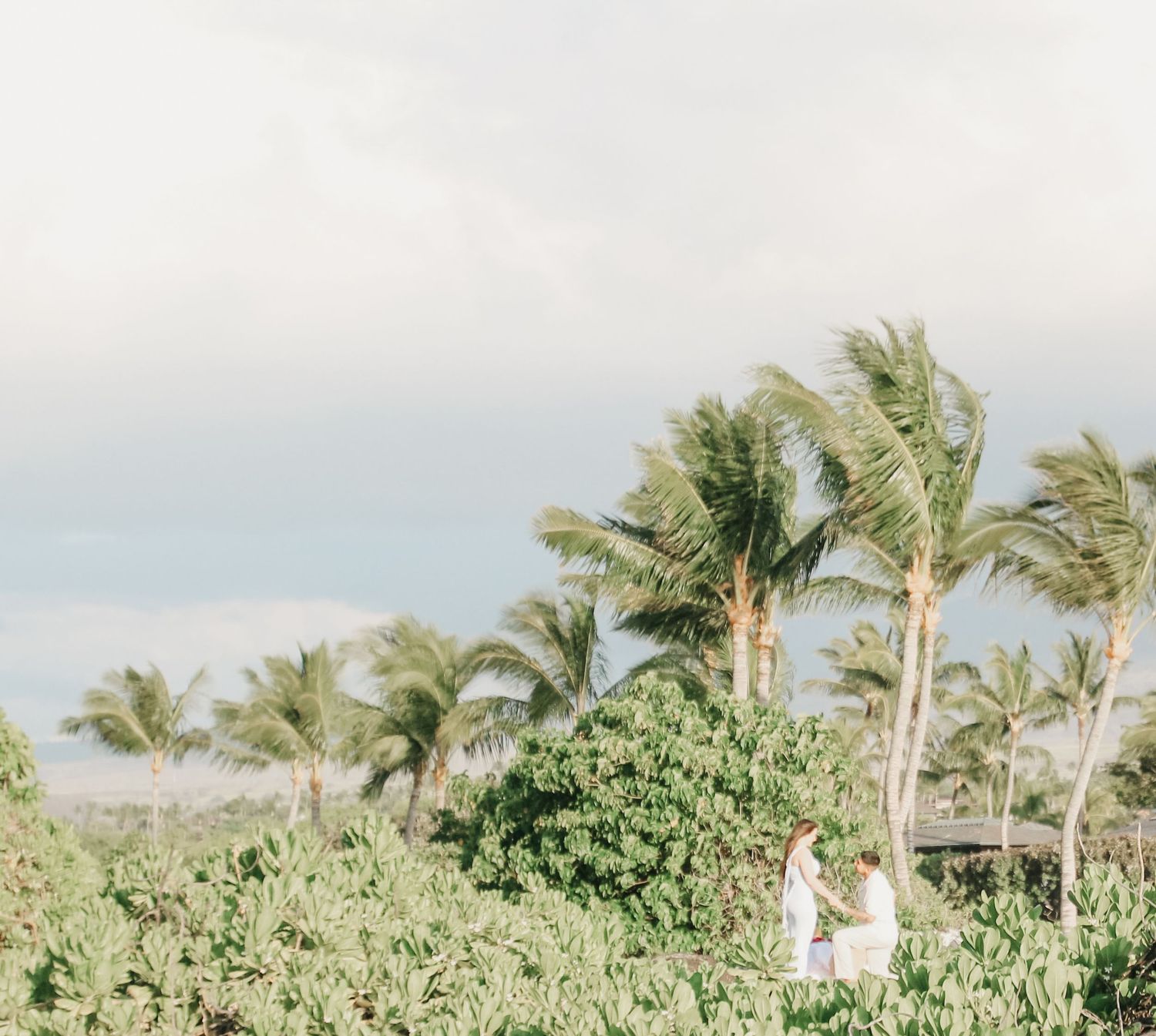 Romantic picnic engagement setup with neutral tones Kona Hawaii