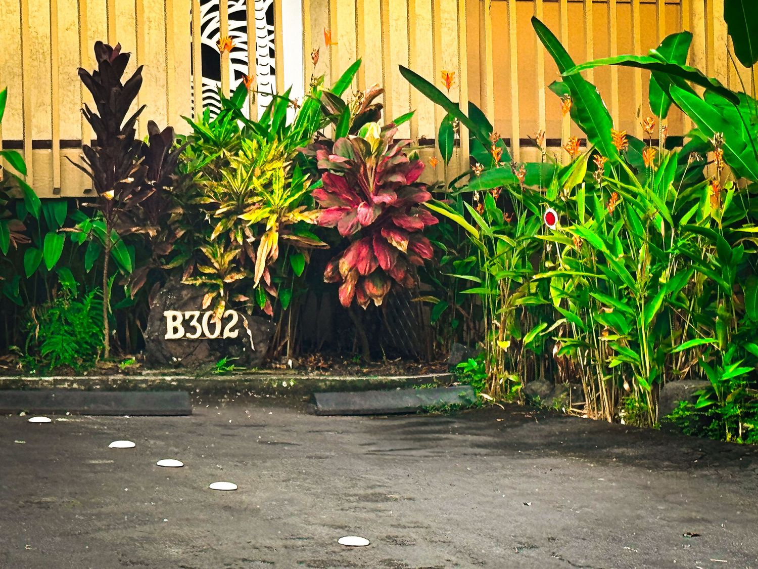 Exterior entrance of Airbnb property in Kona Hawaii