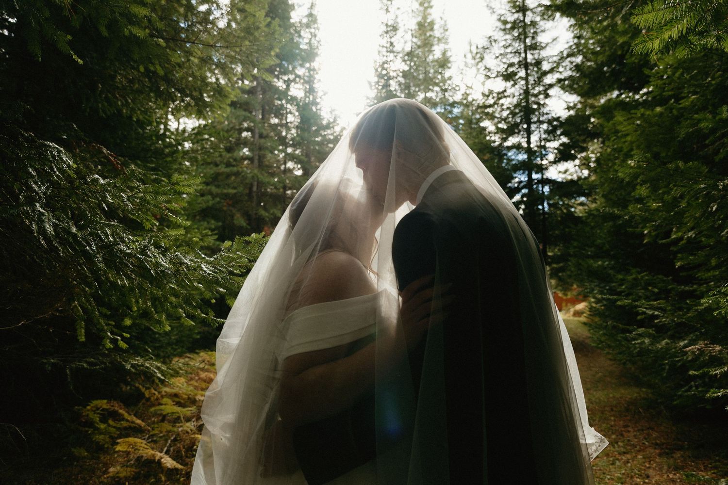 Romantic wedding couple sharing a kiss under a flowing veil surrounded by tall evergreen forest trees.