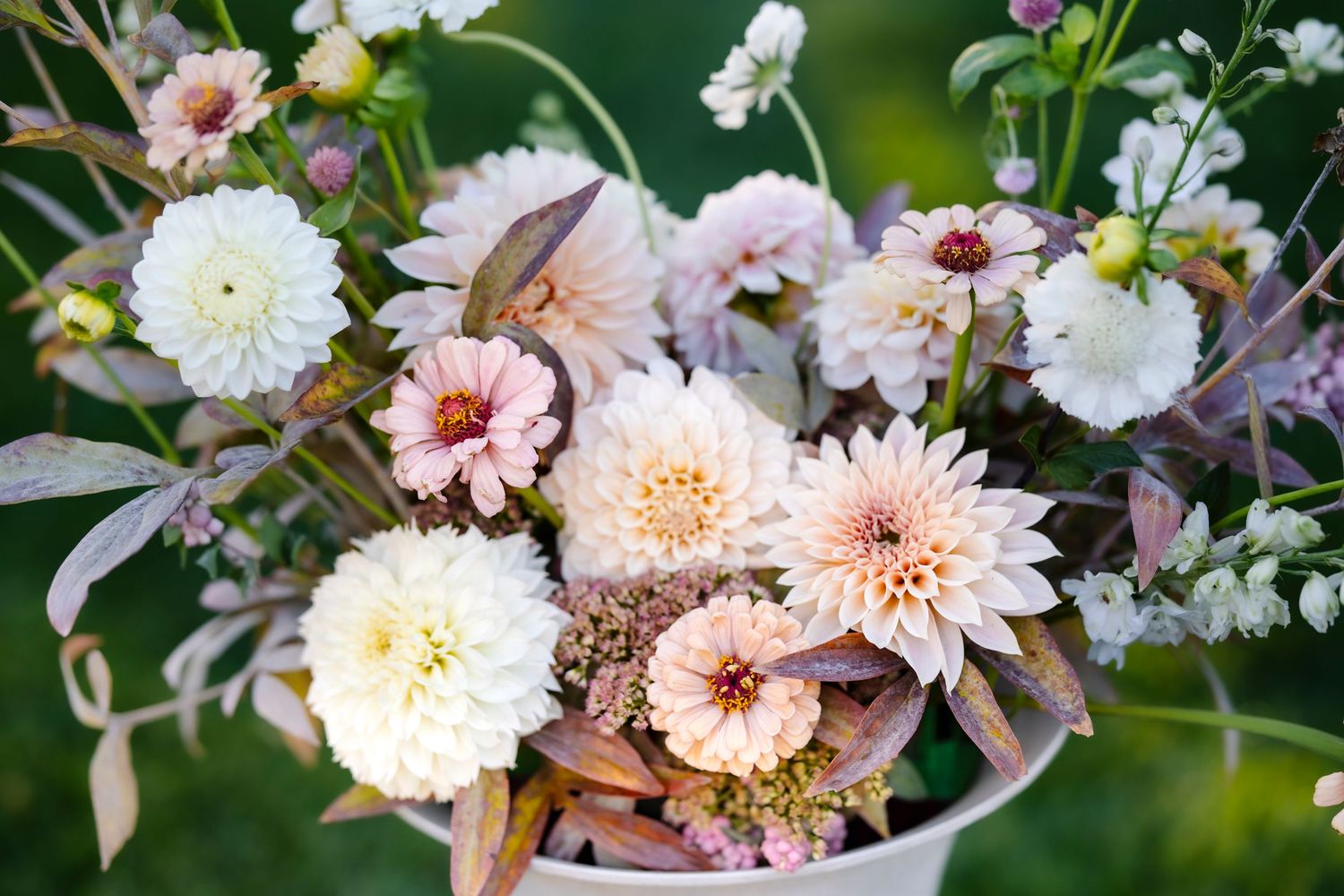 Soft white and blush dahlia bouquet with delicate wildflowers in a white container.