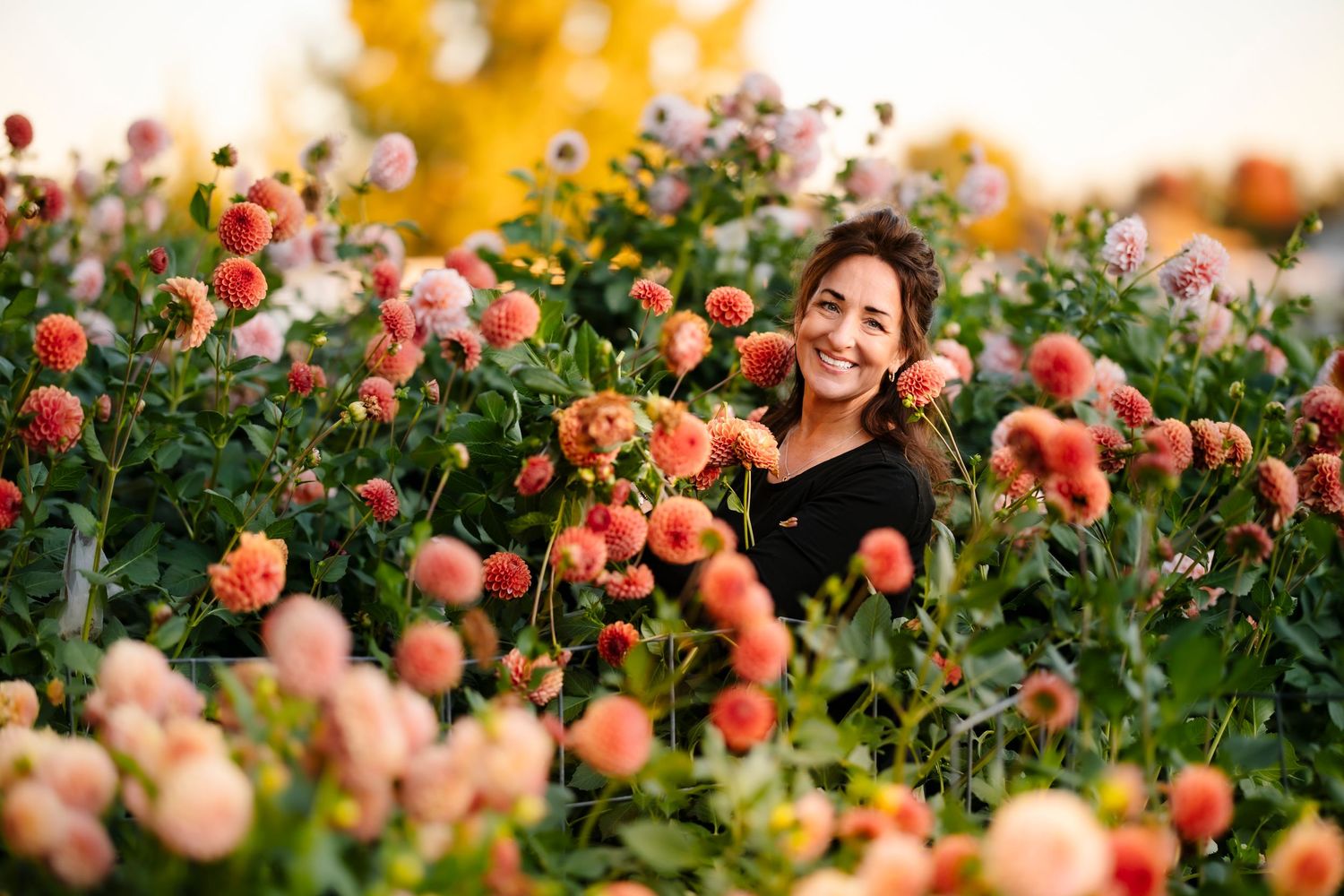 Smiling woman surrounded by vibrant coral and peach dahlia flowers in a garden.