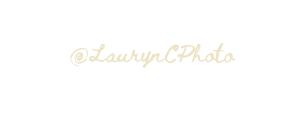 Elegant cursive watermark signature reading @LaurynCPhoto in gold script on a white background.