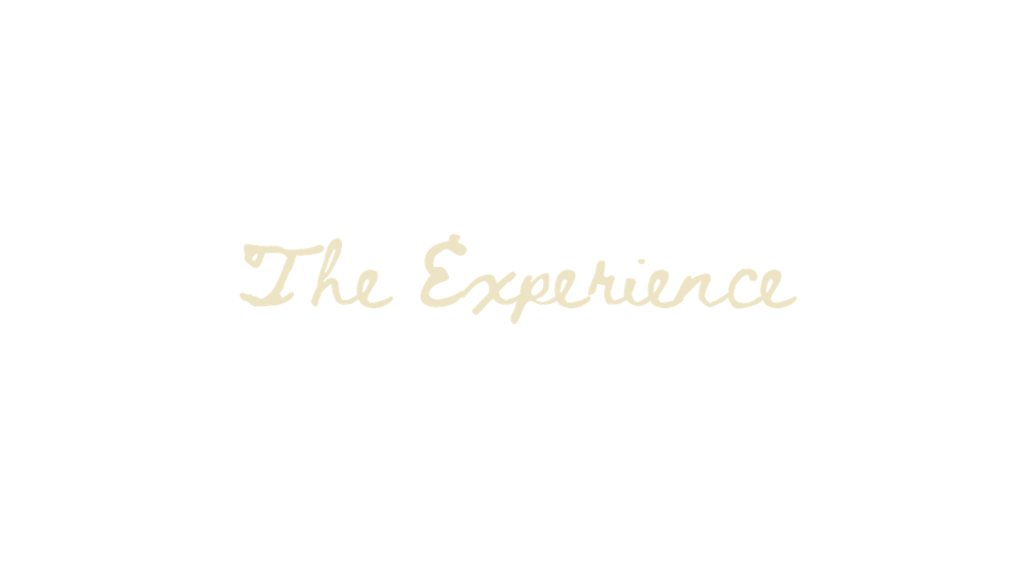 Elegant cursive script reading 'The Experience' in soft gold lettering on a white background.