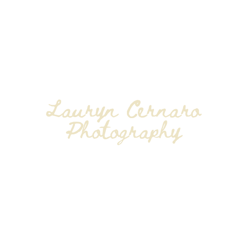 Lauryn Cernaro Photography logo in elegant gold cursive script on a white background.