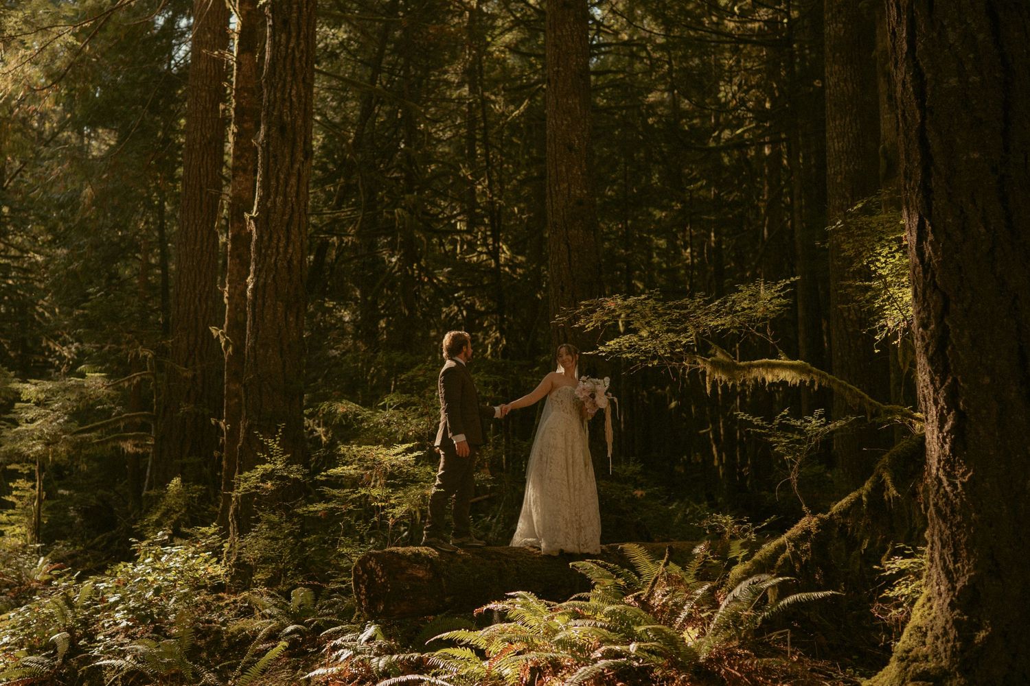 Couple in wedding attire holding hands in a sunlit redwood forest surrounded by lush green ferns.