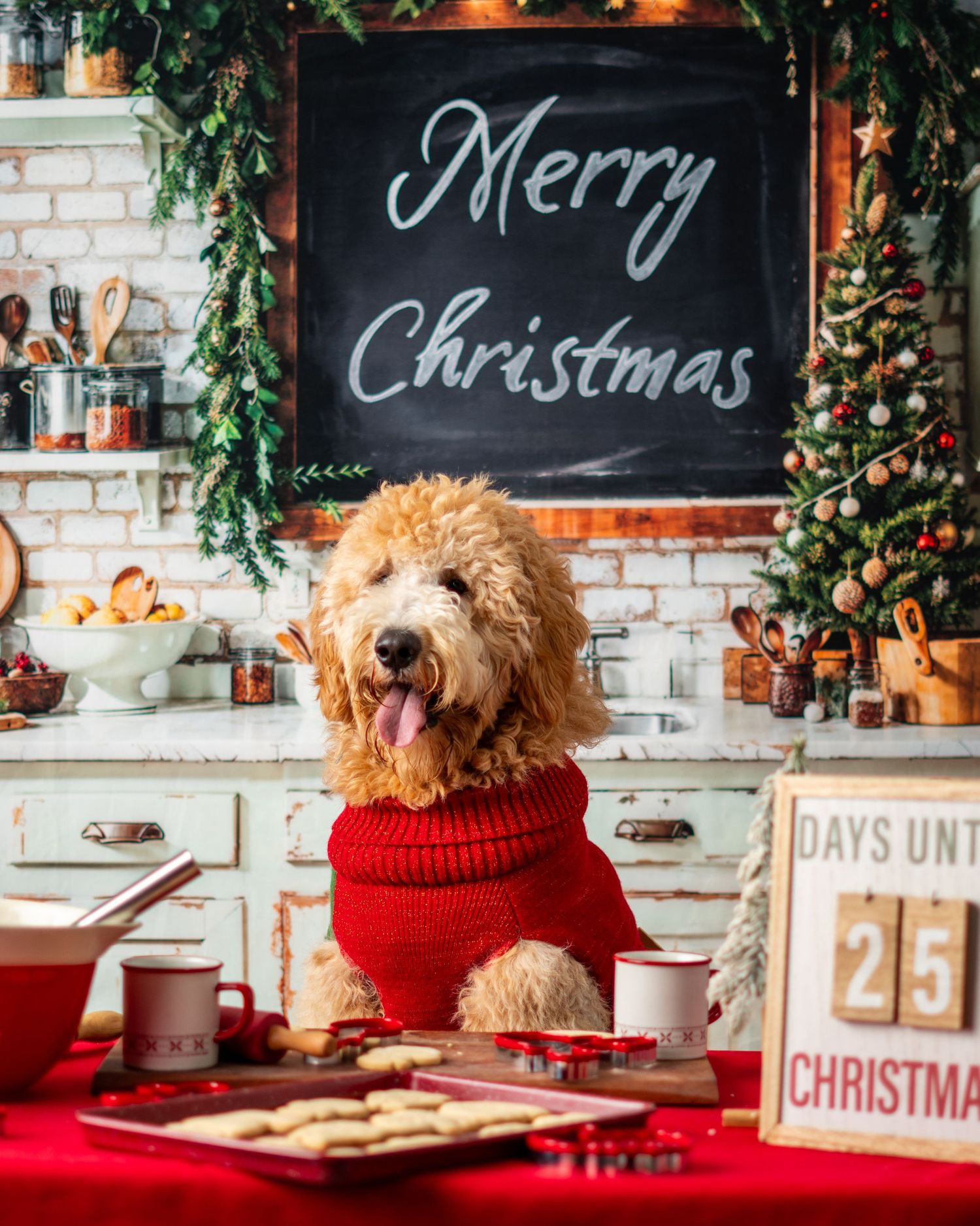 A cozy Christmas scene with a dog wearing a red sweater next to chalkboard signs and festive holiday decorations.
