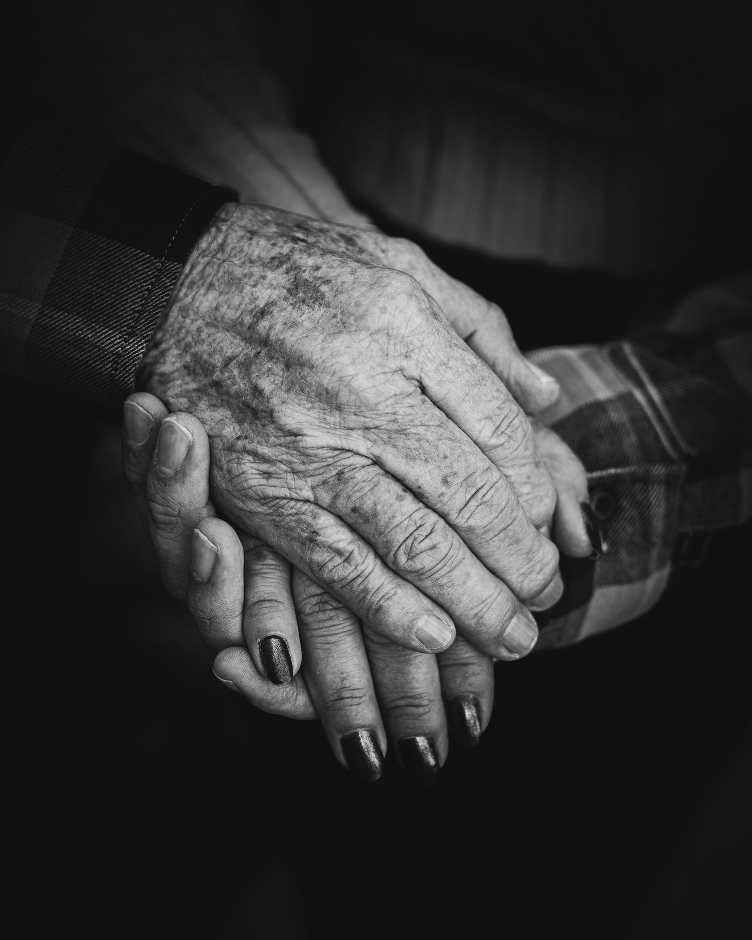 Intimate black and white photo of aged and young hands clasped together showing generational connection.