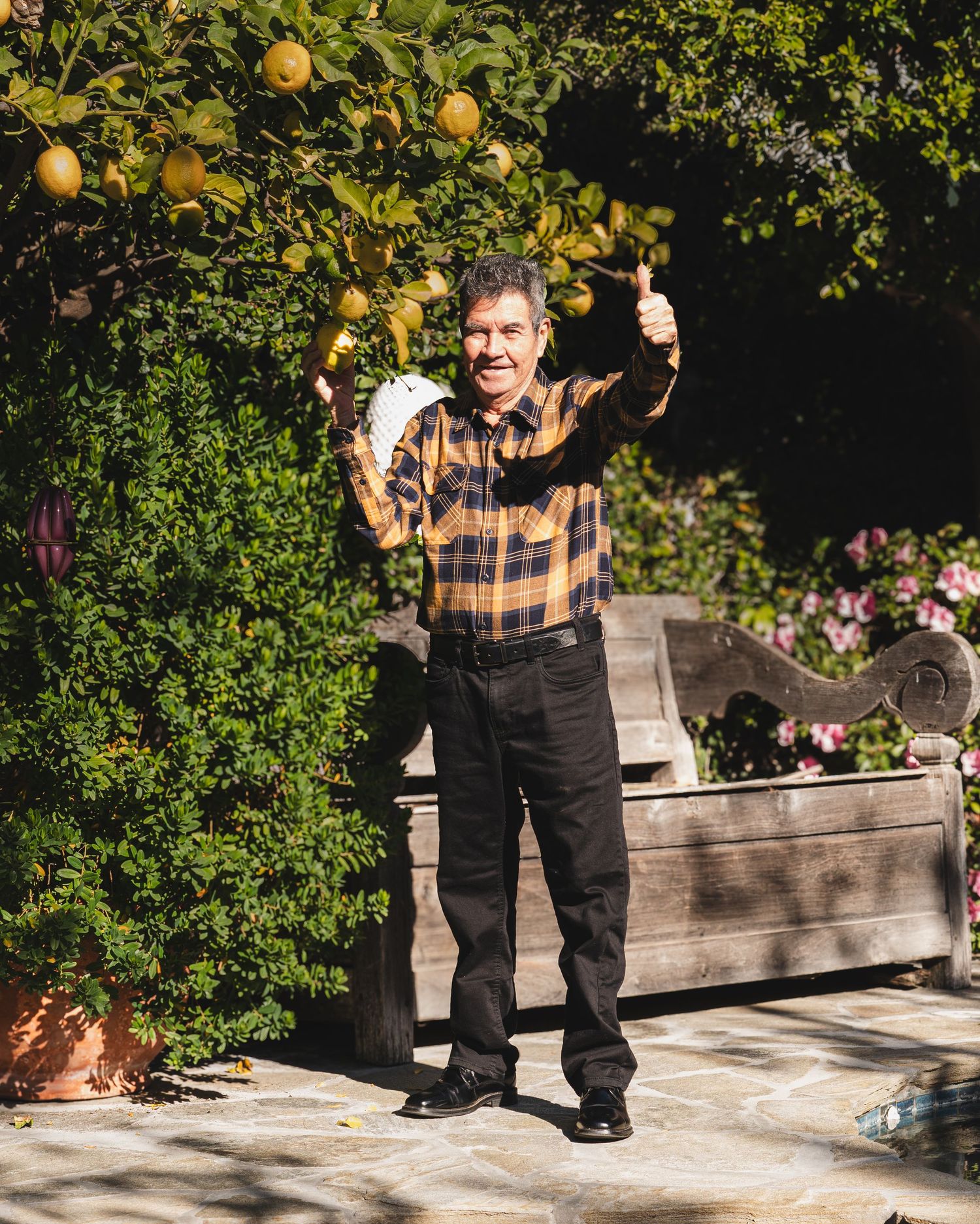 A person in plaid giving thumbs up while standing in a citrus garden.