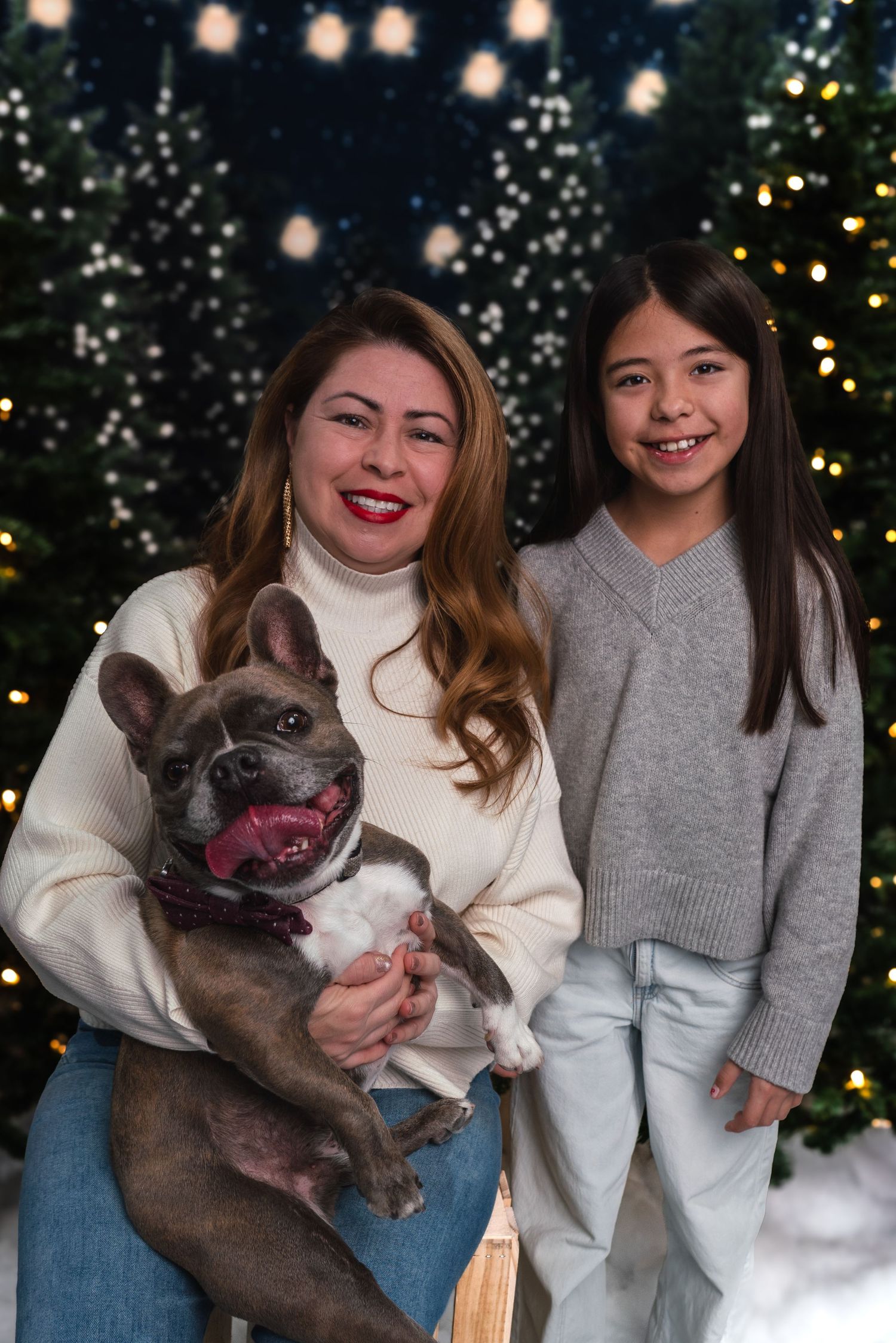 French bulldog poses with family members in front of Christmas tree with twinkling lights and decorations.
