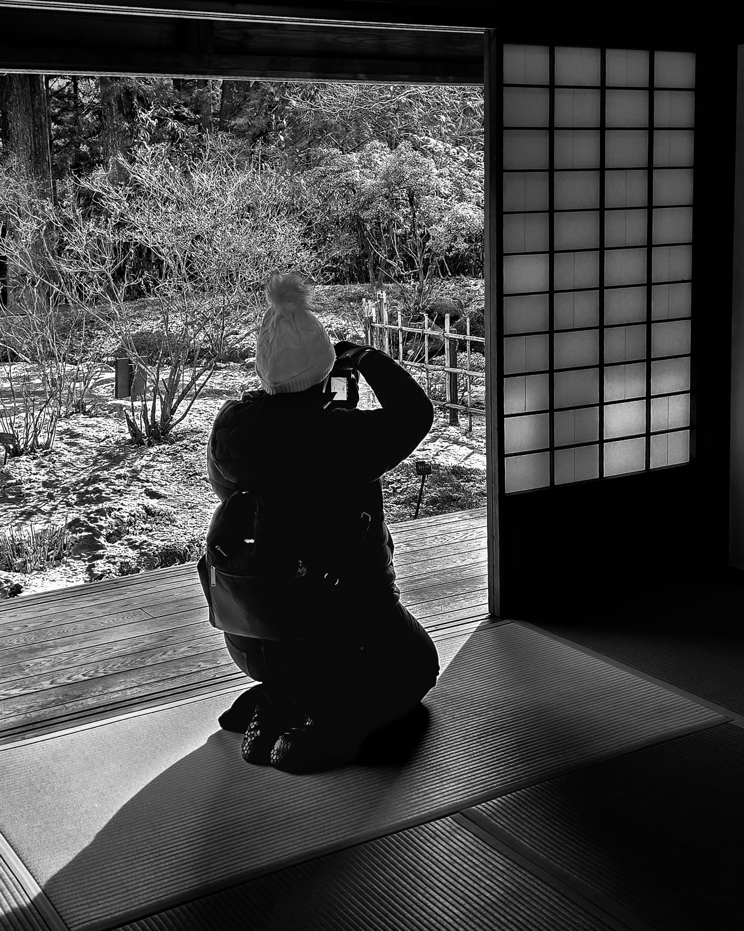 Black and white silhouettes against Japanese shoji screens in a traditional room.