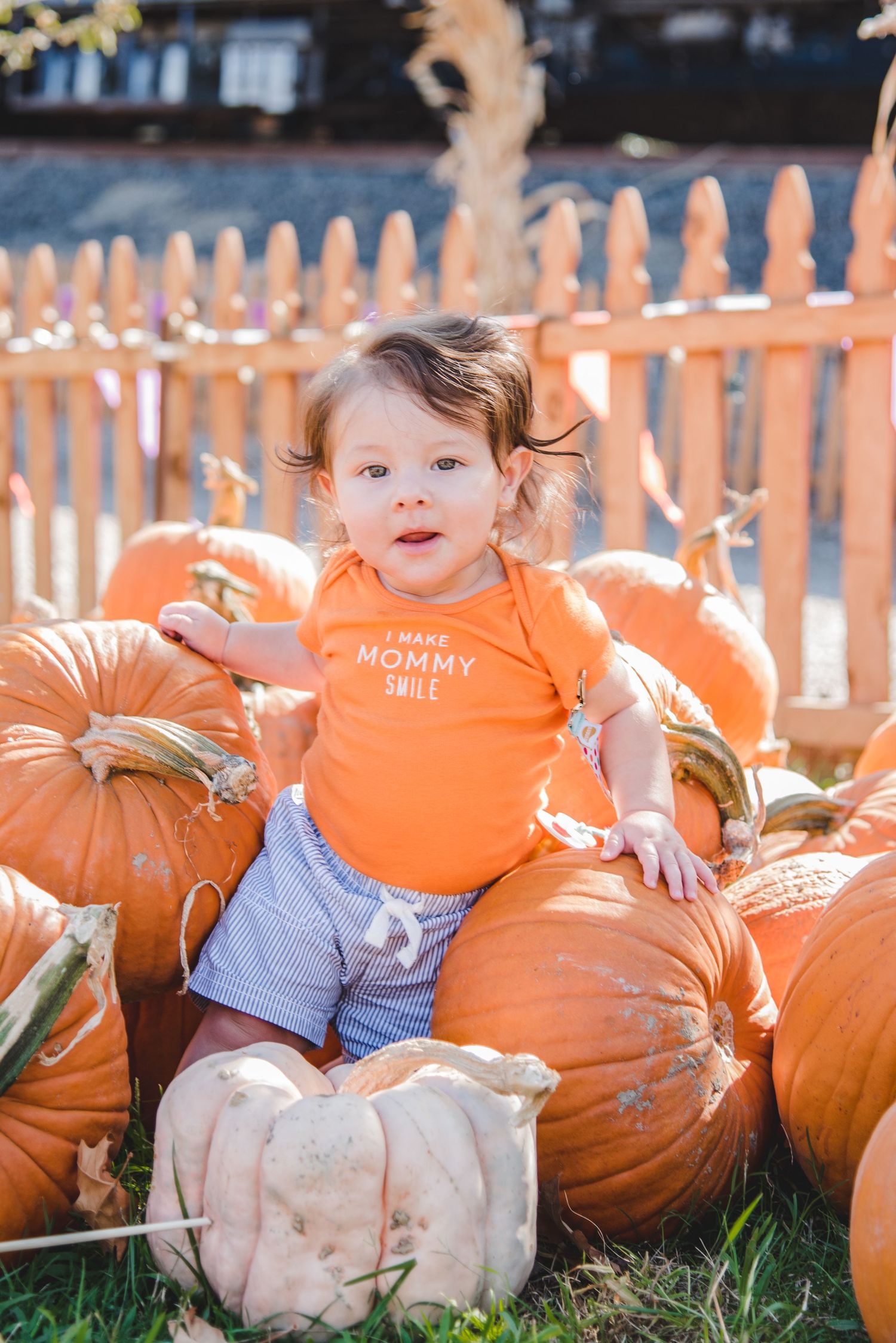 A series of fall photos showing a small child in an orange shirt sitting among large orange pumpkins in a pumpkin patch.