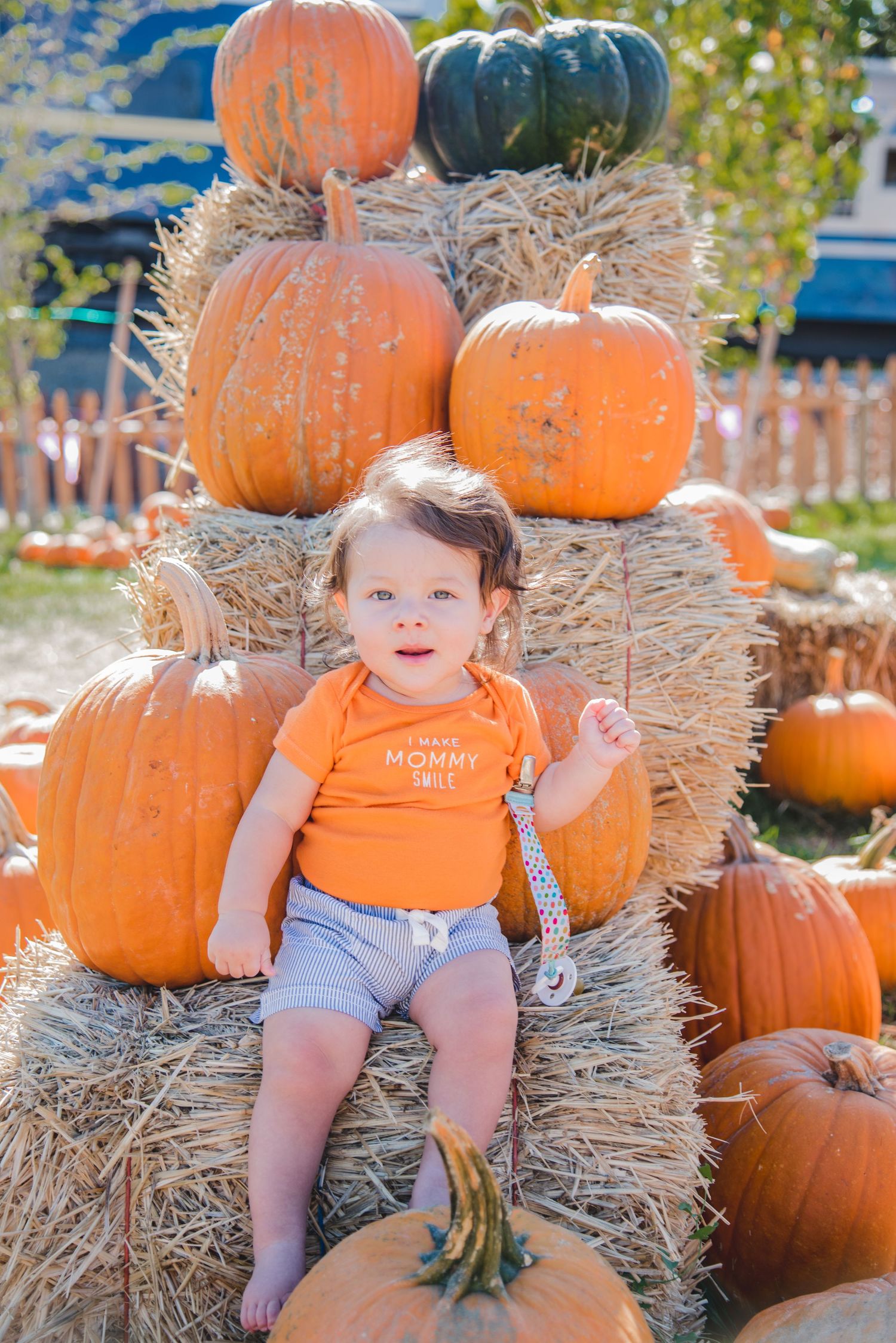 Festive fall scene with pumpkins arranged on hay bales at a pumpkin patch on a sunny autumn day.