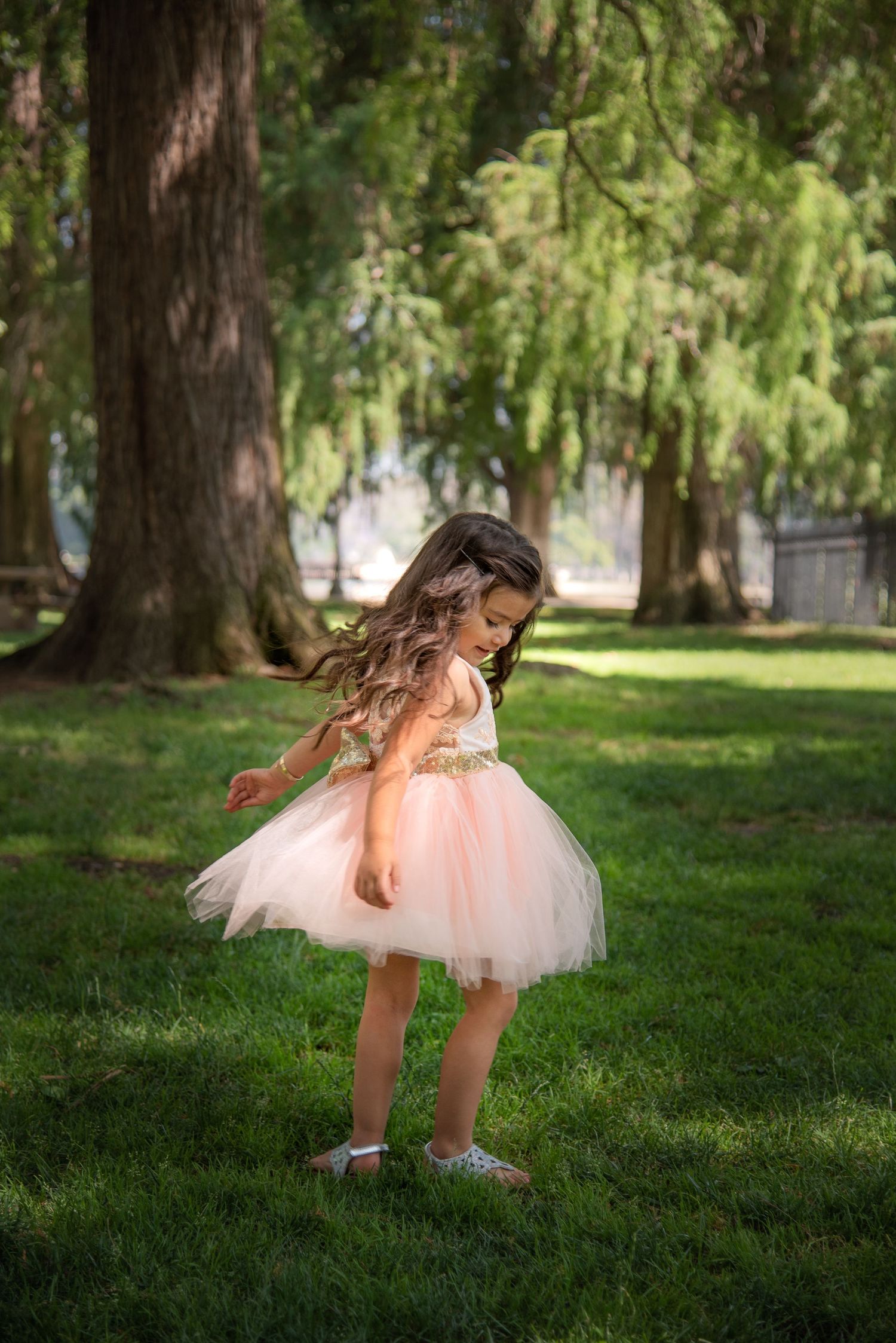 A figure in a pink tulle dress twirls gracefully across a sunlit grass lawn beneath towering evergreen trees.