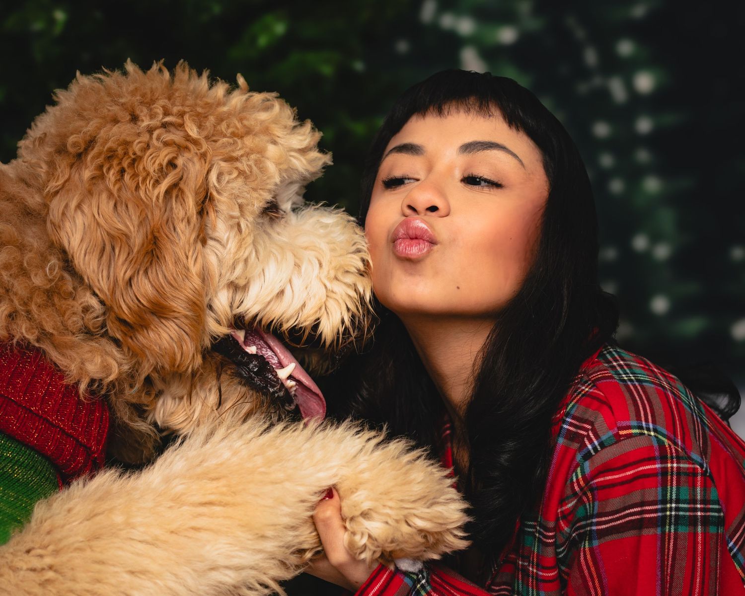 A person wearing a red plaid shirt plays with a fluffy golden doodle dog in a park setting.