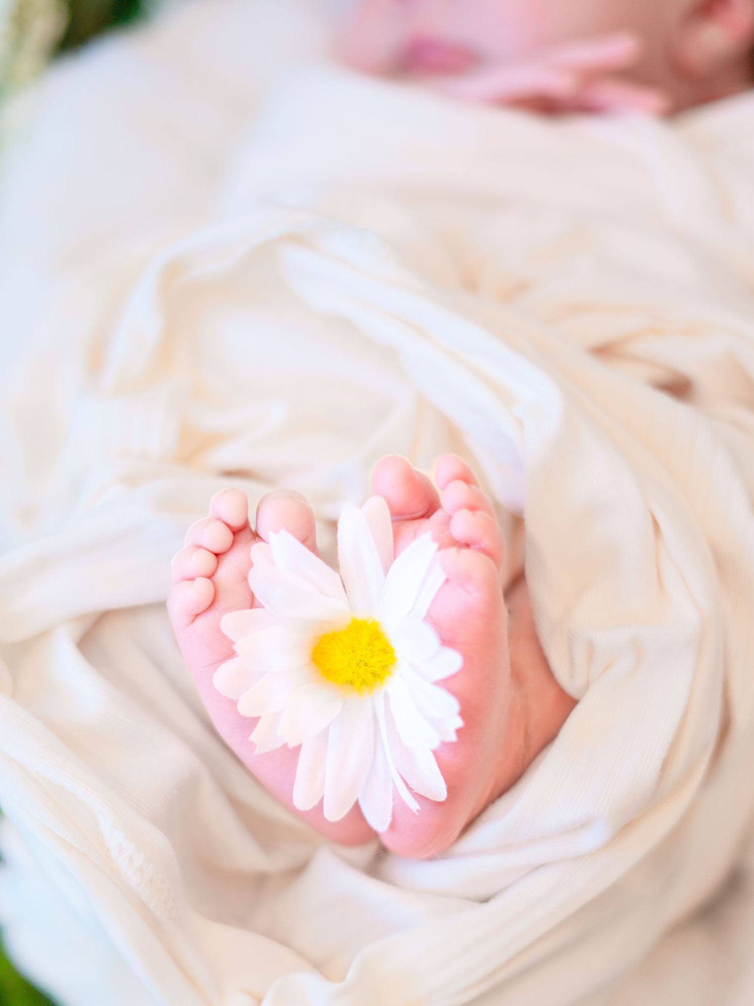 Close-up of tiny baby feet with a pink daisy between them on white fabric.