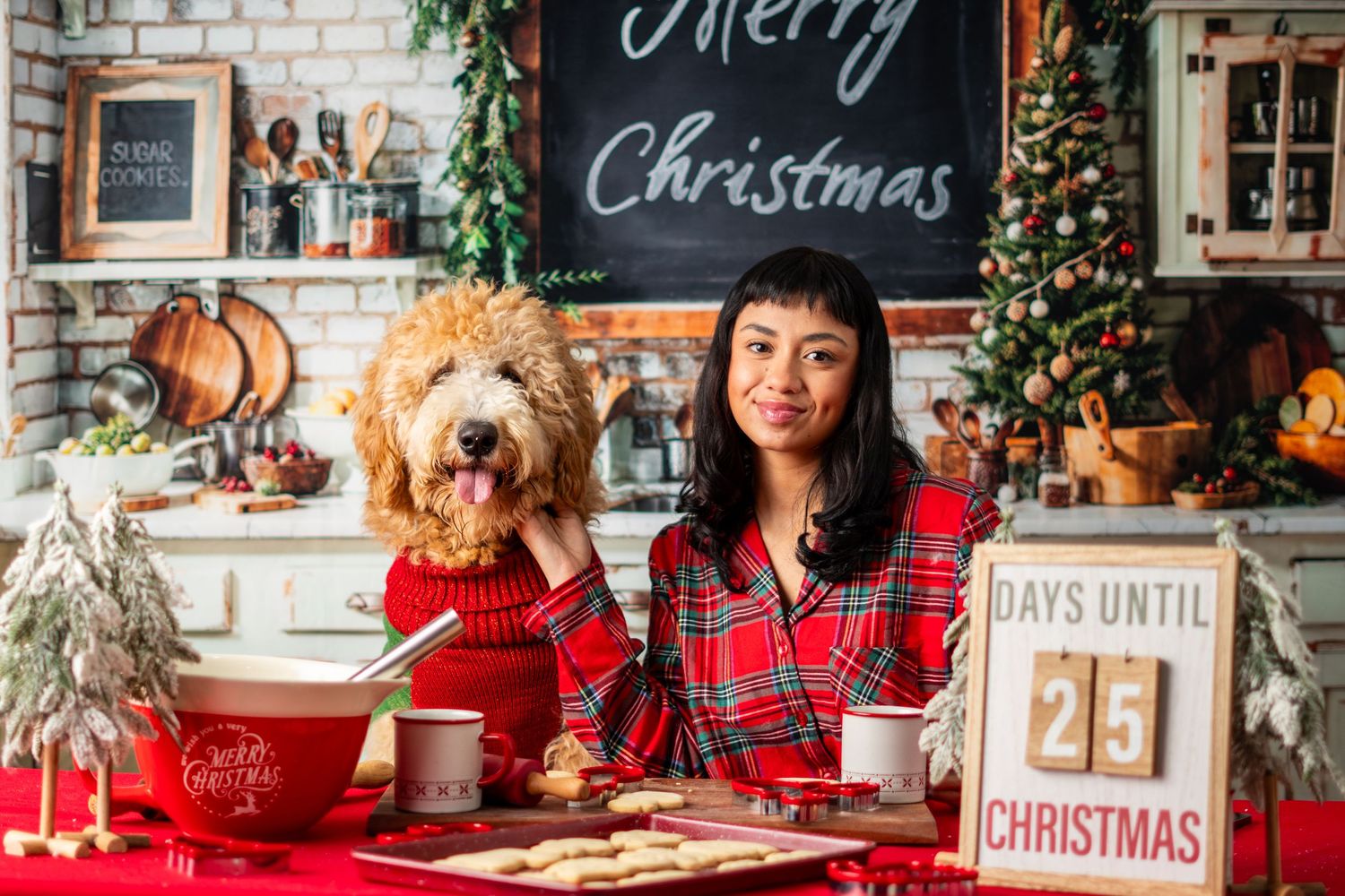Festive holiday scene with red plaid decor, Christmas lights, and decorative elements in a cozy indoor setting.