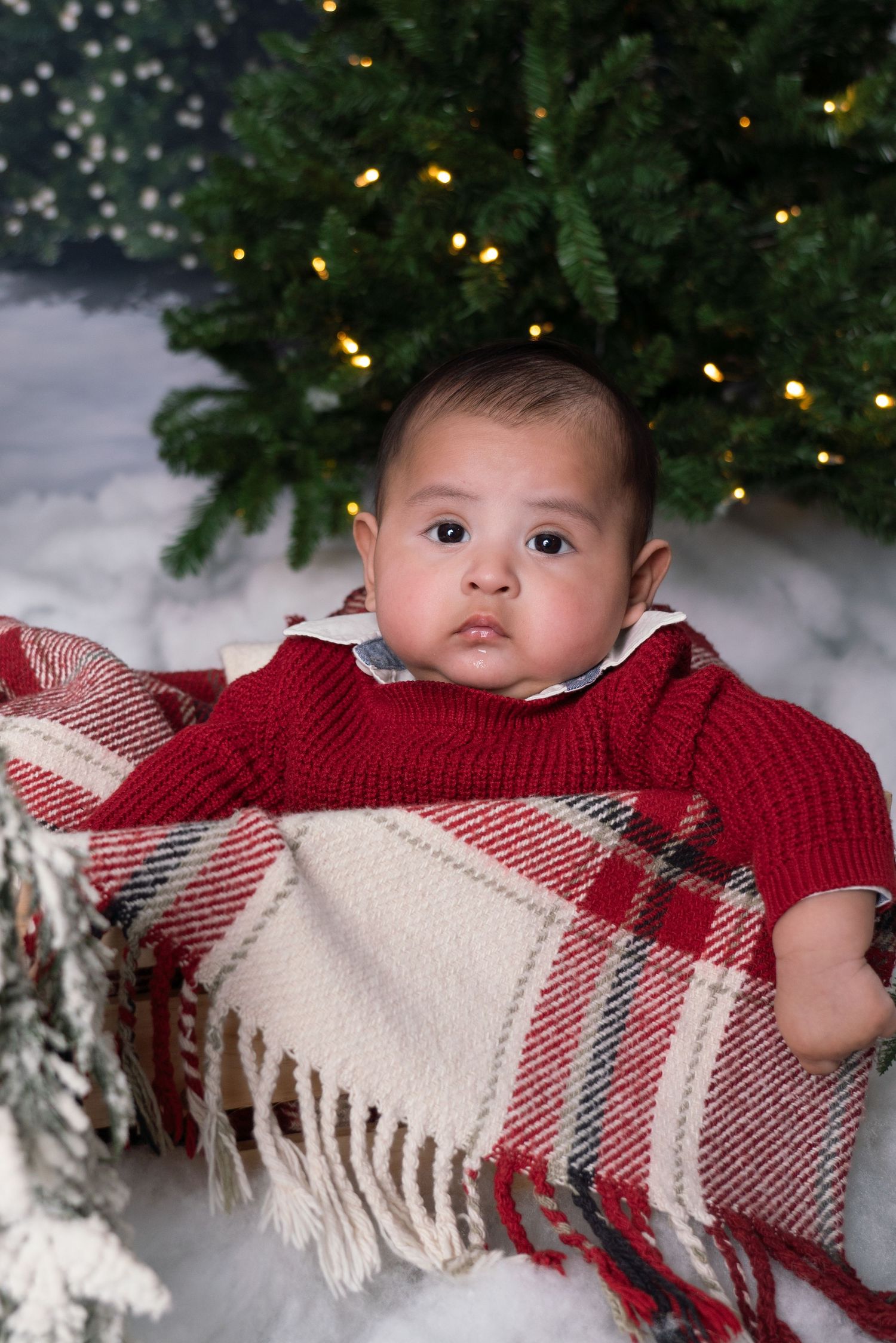 A baby wrapped in a red and white plaid blanket sits near a Christmas tree with twinkling lights.